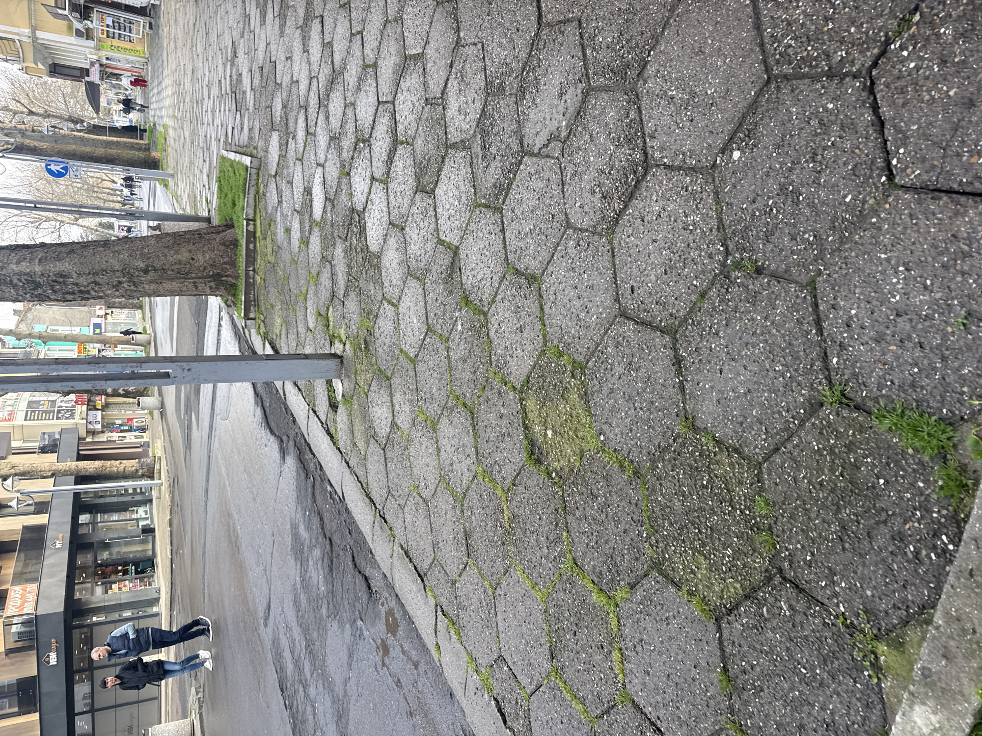 The image shows a street scene in Burgas, Bulgaria. The foreground is dominated by a hexagonal cobblestone sidewalk, with grass growing in the cracks between the stones. A tree trunk is visible along the edge of the sidewalk, next to a metal pole. The street is wet. Two people are walking in the street near a building with large windows and signage in Russian. The background shows other buildings, trees, and street signs.