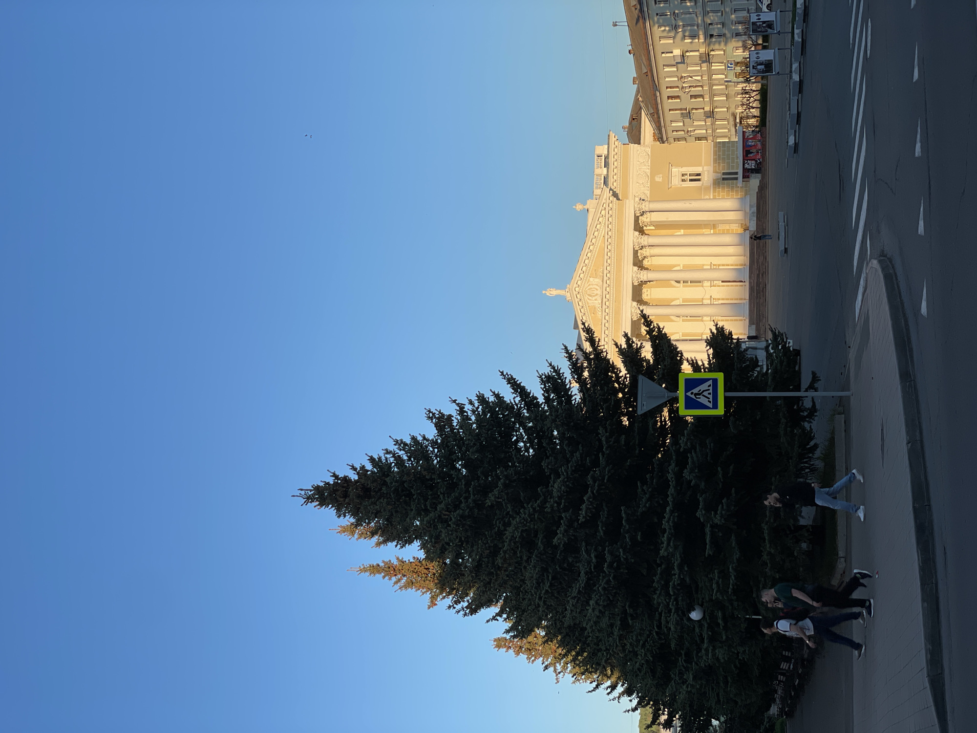 The image shows a street scene in Zheleznogorsk, Russia. On the right is a building with classical architecture, featuring a colonnade. Adjacent to the building is a street with crosswalk markings. A tall evergreen tree is located in the foreground, partially obscuring the view. Near the tree, three people are visible on the sidewalk. The sky is clear and blue. A crosswalk sign is next to the tree.