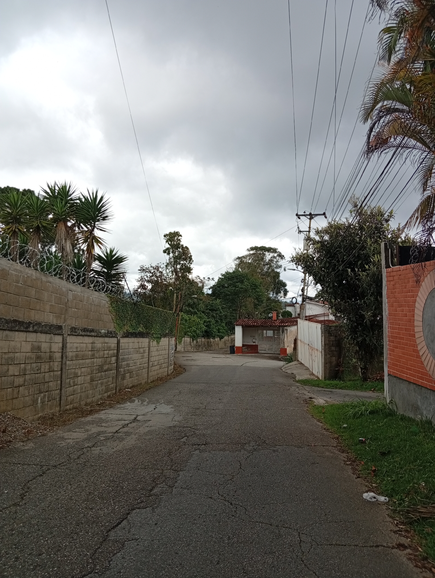 The image depicts a residential street in San Antonio de Los Altos, Venezuela. The asphalt road is cracked and worn, with a slight incline. On the left, a tall concrete wall topped with barbed wire stretches along the street, bordering what appears to be a property with several Yucca plants growing behind it. The wall is constructed of concrete blocks. On the right side of the road, a brick wall with a decorative circular design is visible. Further down the street, a small building with a red-tiled roof and white walls stands with an open gate. The environment is overcast, with a gray sky dominating the upper portion of the image. Overhead, a network of power lines crisscrosses the sky, supported by utility poles. Lush green vegetation, including trees and bushes, is present on both sides of the road, adding to the suburban feel of the scene. No people are visible in the image.