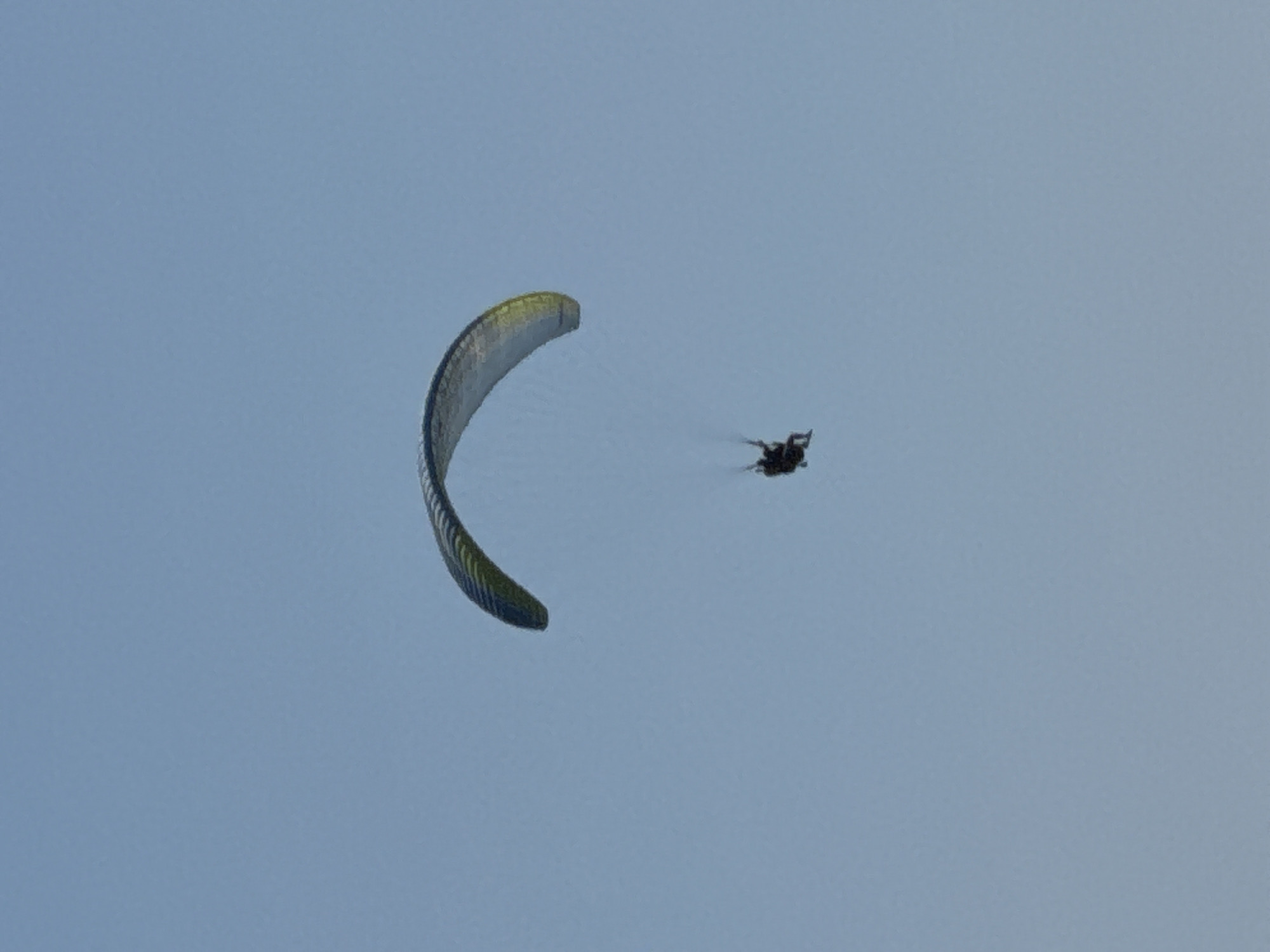 A paraglider is captured in mid-flight against a clear, pale blue sky. The paraglider, a silhouette against the sky, is suspended beneath a large, curved wing which is predominantly white with yellow and blue accents. The paraglider appears to be a single person seated in a harness. The image provides no geographical context that would place it in Boreti, Montenegro.