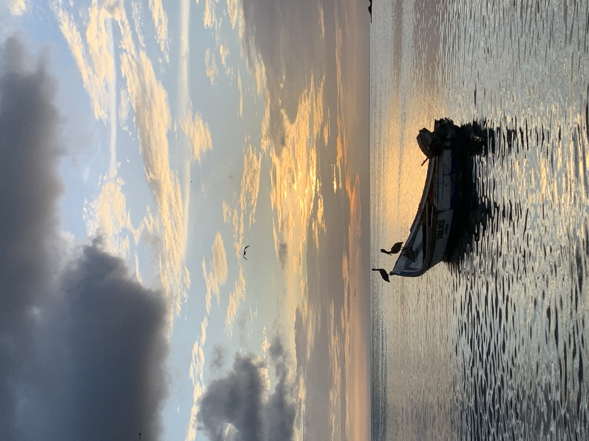 The image shows a small, white and blue fishing boat with an outboard motor, floating on calm water. Two pelicans are perched on the bow of the boat. The sky above is a mixture of dark clouds and lighter, scattered clouds with the sun setting or rising in the distance, casting a warm glow across the scene. The water reflects the colors of the sky. The location is identified as Juan Griego, Venezuela.