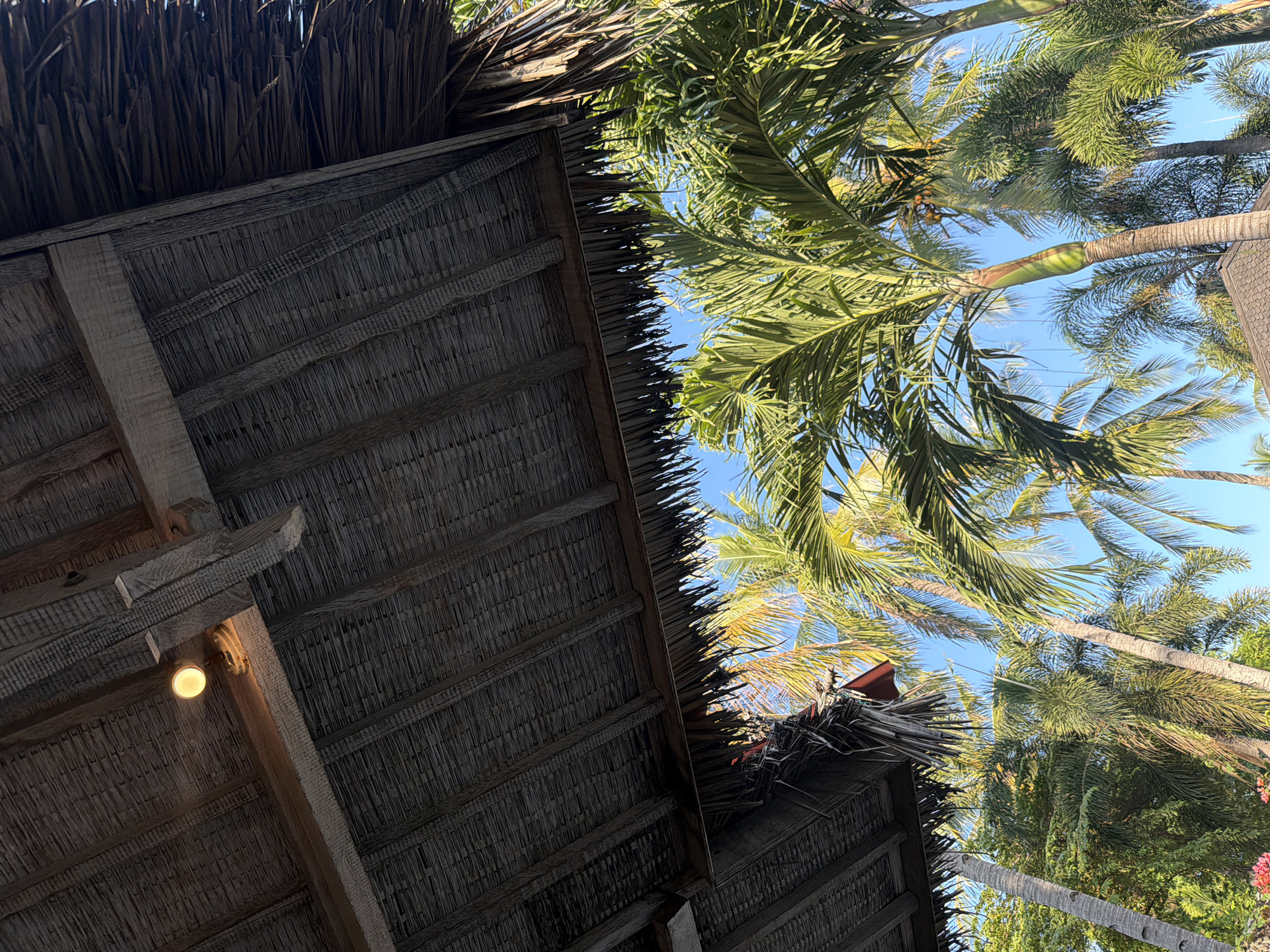 The image is a low-angle shot of a thatched roof structure in an outdoor setting, likely in an area with tropical vegetation. The roof appears to be made of dried palm leaves or similar material, with visible wooden supports and a light fixture. Palm trees with green foliage are seen against a blue sky. The image is taken from beneath the roof looking upward, with the structure partially obscuring the view of the sky and trees. The specific location in Unknown, Indonesia is not discernible from the image alone.