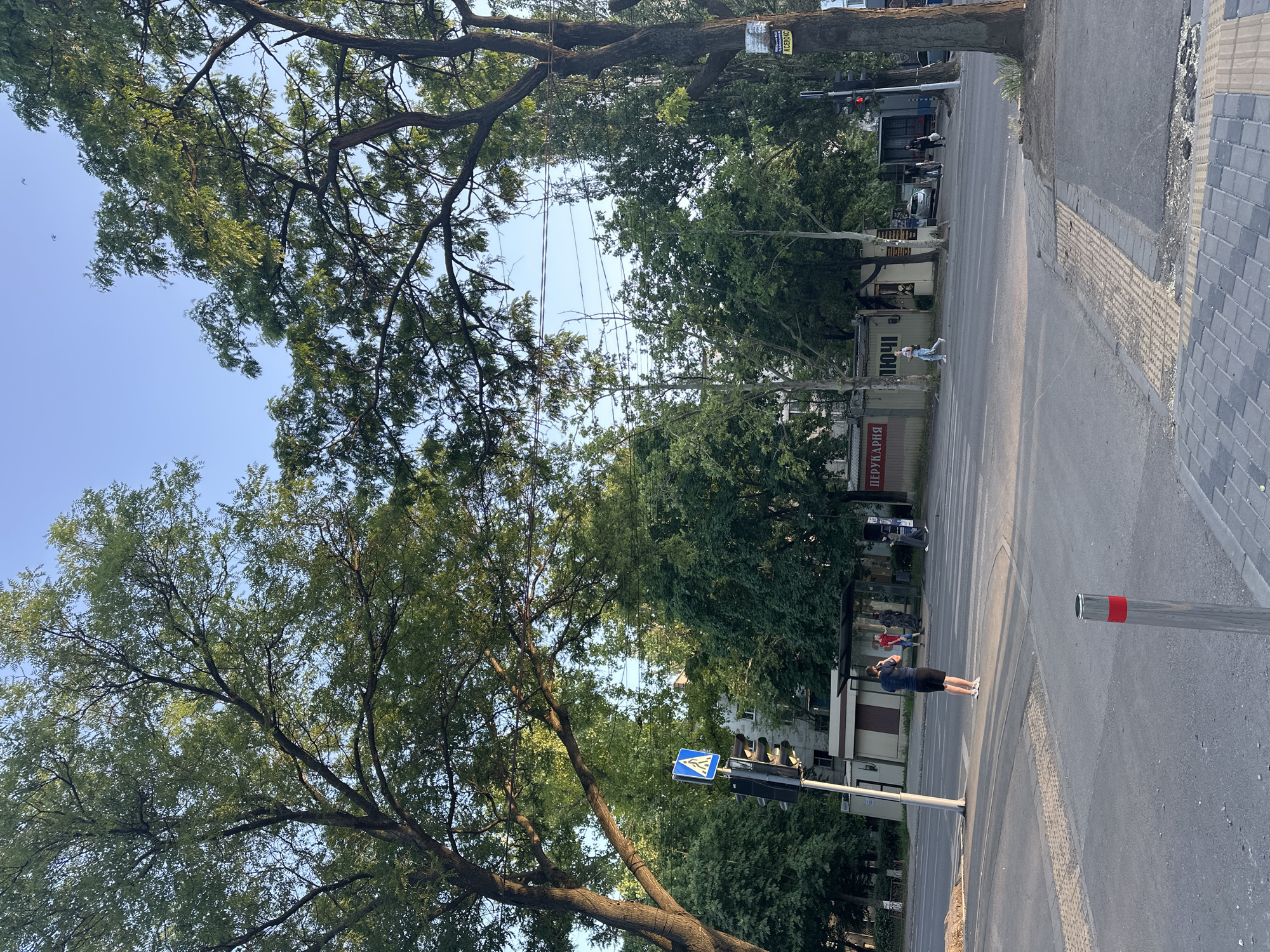 The image depicts an urban scene at a street intersection. The setting is a city, suggested by the presence of paved roads, pedestrian crossings, traffic lights, buildings, and trees lining the streets. A person stands at the pedestrian crossing, seemingly engaged in taking a photograph with their mobile phone. Other individuals can be seen walking in the background. Commercial establishments with signage in a Cyrillic alphabet are also visible, indicating the location might be in a country that uses such script. The overall environment suggests a daytime scene in a populated area.