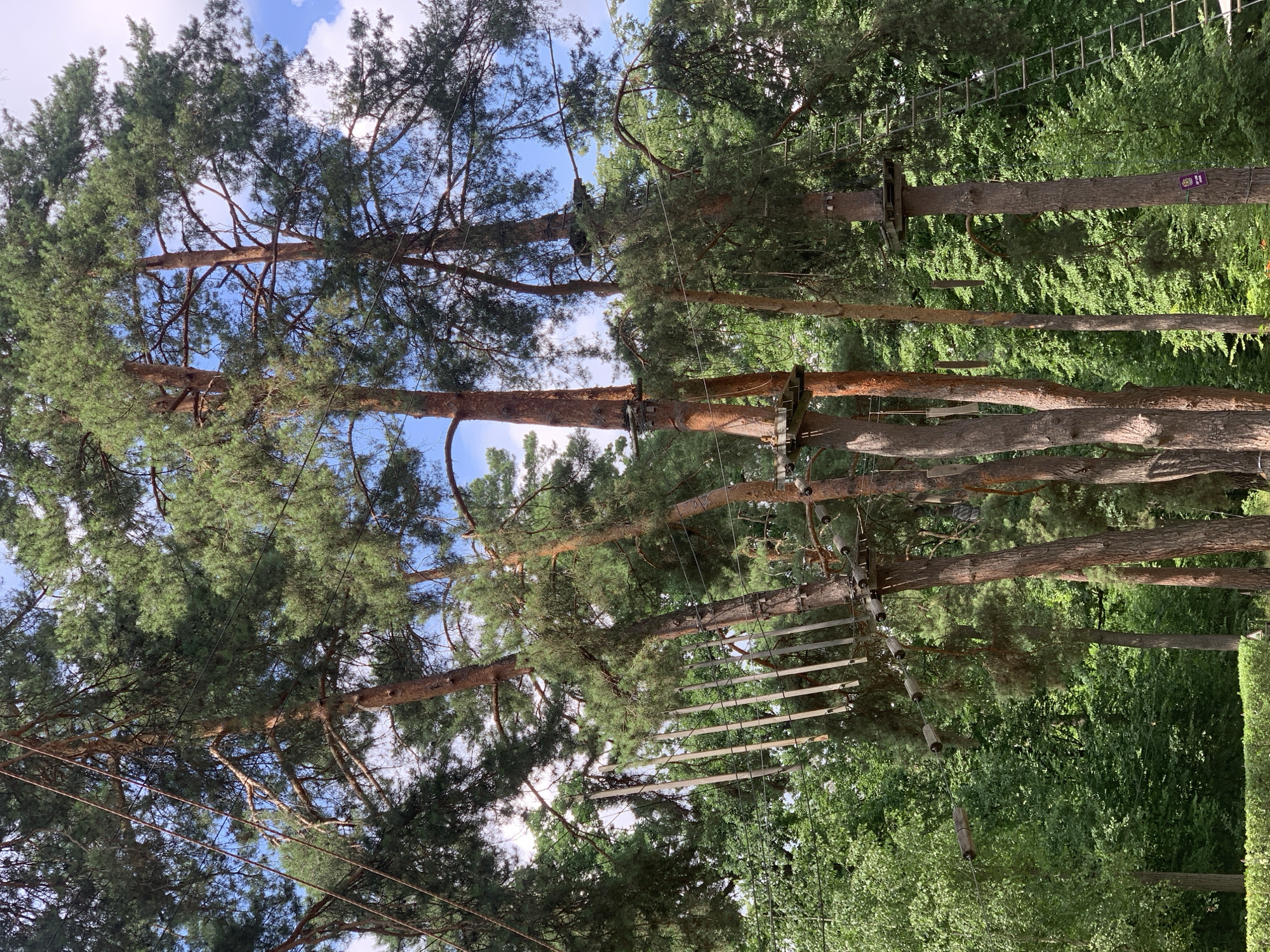 This image depicts an outdoor adventure park, likely a ropes course, situated amidst a dense forest. Several tall pine trees are prominent, with platforms and suspension bridges constructed between them at various heights. A rope ladder is visible on the right side of the image, suggesting a climbing element. The environment is lush and green, indicative of a natural setting. The sky above is blue with scattered white clouds. The image appears to be taken on a clear day. The scene suggests recreational activity and interaction with the natural environment. The location is identified as Bucha, Ukraine.