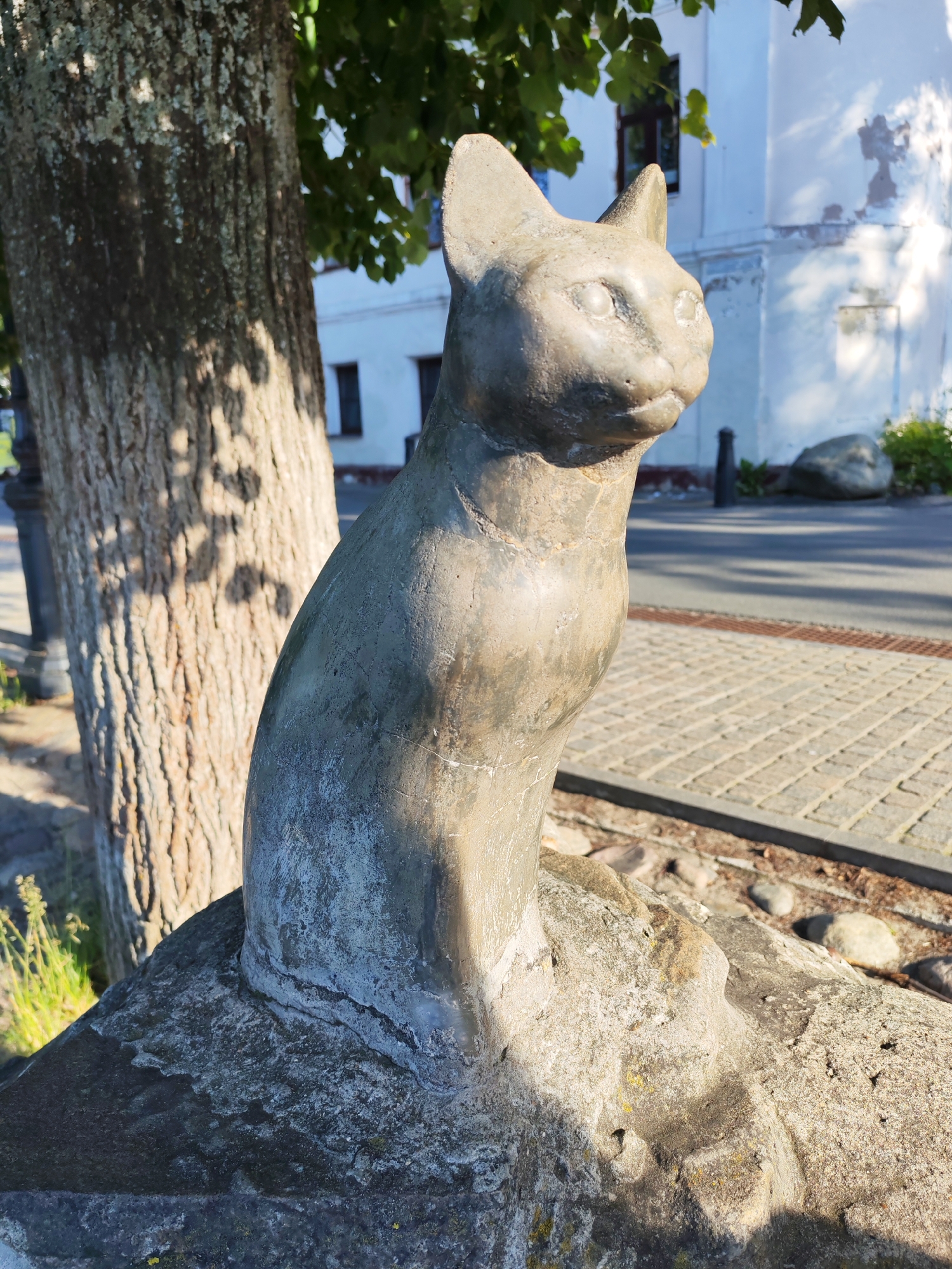 This image features a weathered, concrete statue of a cat seated on a rough stone base. The cat statue is the primary subject, depicted in profile with its head turned slightly to the right. It has a stylized, somewhat abstract form, with simple, defined features. The statue is grey and shows signs of age and exposure to the elements, with some lighter patches and darker staining.
The cat statue is positioned outdoors, likely in a public space. Behind it, a large tree trunk with textured bark dominates the left side of the frame. The tree is partially shaded, with sunlight dappling its surface. In the background, a light-colored building with dark windows is visible, suggesting an urban or town setting. The building appears to be old, with some peeling paint.
A paved walkway made of rectangular stones runs along the right side of the image, bordered by a metal grate. Beyond the walkway, a road or path is visible, with shadows cast by unseen objects, indicating it's daytime. There are also some loose stones and patches of greenery scattered around the base of the statue and in the background. The lighting suggests it is either morning or late afternoon, with the sun casting long shadows and highlighting the textures of the subjects.
The overall mood is tranquil and perhaps a little melancholic, conveyed by the aged statue and the serene outdoor setting. There are no people or animals other than the statue. No text is visible in the image. The location context provided is Plyos, Russia, which might suggest a historical or cultural significance to the statue or its placement.