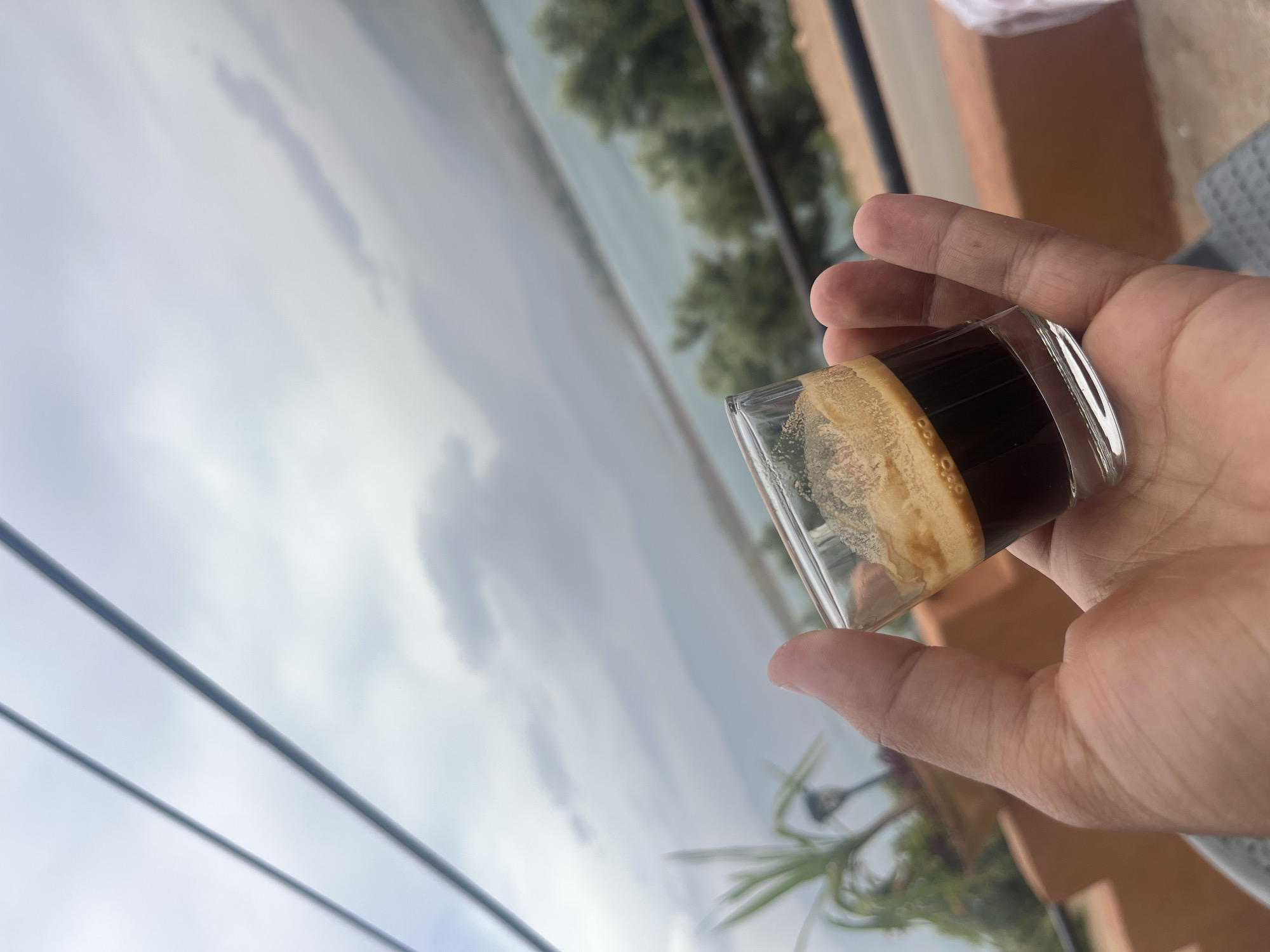 The image, captured from a tilted perspective, primarily features a person's right hand holding a small, clear glass. The glass contains a dark coffee beverage, likely an espresso shot, topped with a distinct, thick layer of light brown crema.
The scene is set outdoors, offering a panoramic view in the background. An expansive body of water, possibly a reservoir or lake, stretches across the midground towards the horizon. On the distant bank of the water, green trees are visible, indicating lush natural surroundings. Above the landscape, the sky is bright but overcast, with soft, diffused light suggesting a cloudy daytime. Two dark lines, resembling power cables or wires, diagonally traverse the upper-left portion of the frame against the sky. To the right of the hand, elements of outdoor architecture, including a terracotta-colored wall and part of a railing or fence, are visible. The setting suggests a viewpoint from a balcony or terrace, likely in Bin El Ouidane, Morocco. No text is visible in the image.