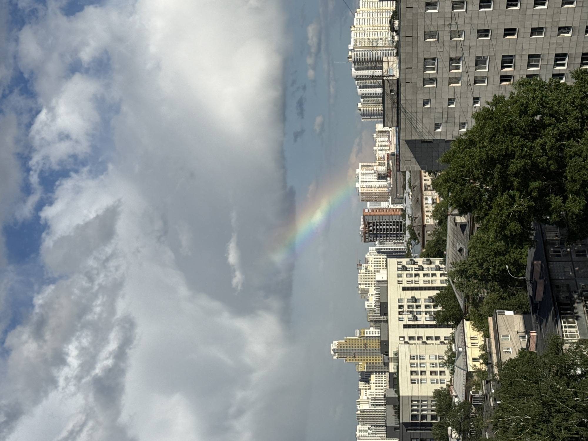 The image depicts a vertical view of a city skyline under a sky with a prominent rainbow. Buildings of varying heights and architectural styles, primarily in shades of gray, white, and beige, line the foreground and midground. Some buildings have visible rows of windows. A large green tree appears on the right side of the frame, partially obscuring some buildings. A bright rainbow arcs across the sky, positioned between dense clouds and the urban landscape. The image appears to be taken in Yekaterinburg, Russia.