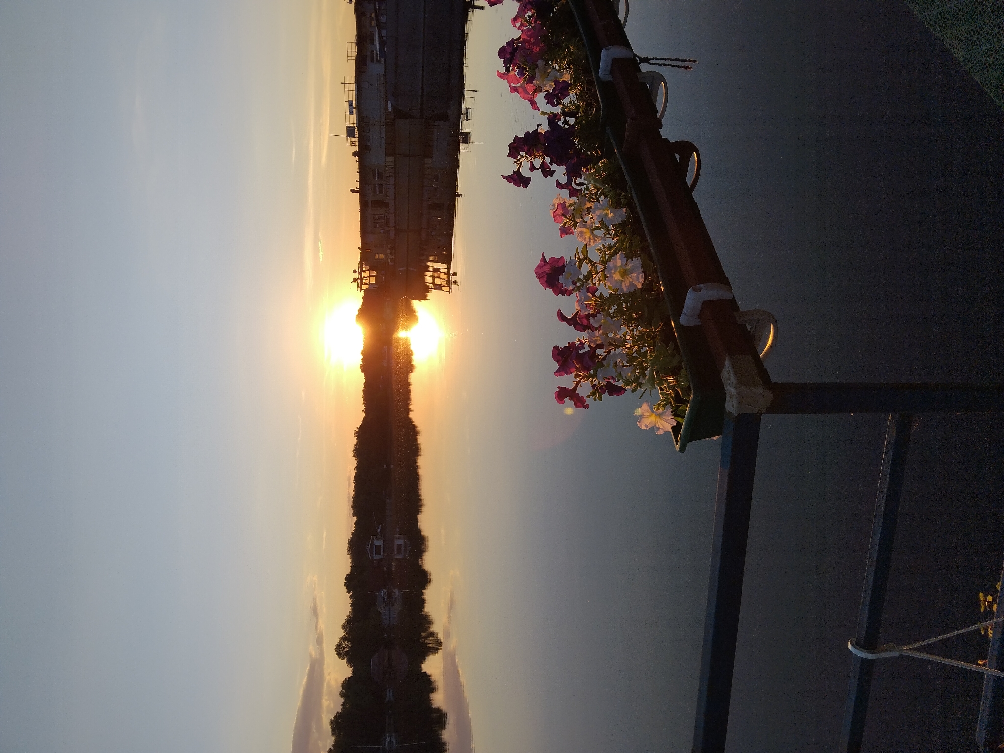 The image captures a tranquil sunset over a body of water, likely a river or canal, in Kyiv, Ukraine. The sky is a gradient of soft blues and oranges, with the sun low on the horizon, casting a warm glow. The water perfectly reflects the sky and the silhouettes of trees and structures along the far bank. In the foreground, a planter filled with colorful petunias sits on a dark railing, adding a touch of vibrant life to the scene. The overall atmosphere is peaceful and serene, with the natural beauty of the sunset enhanced by the man-made elements of the railing and planter.