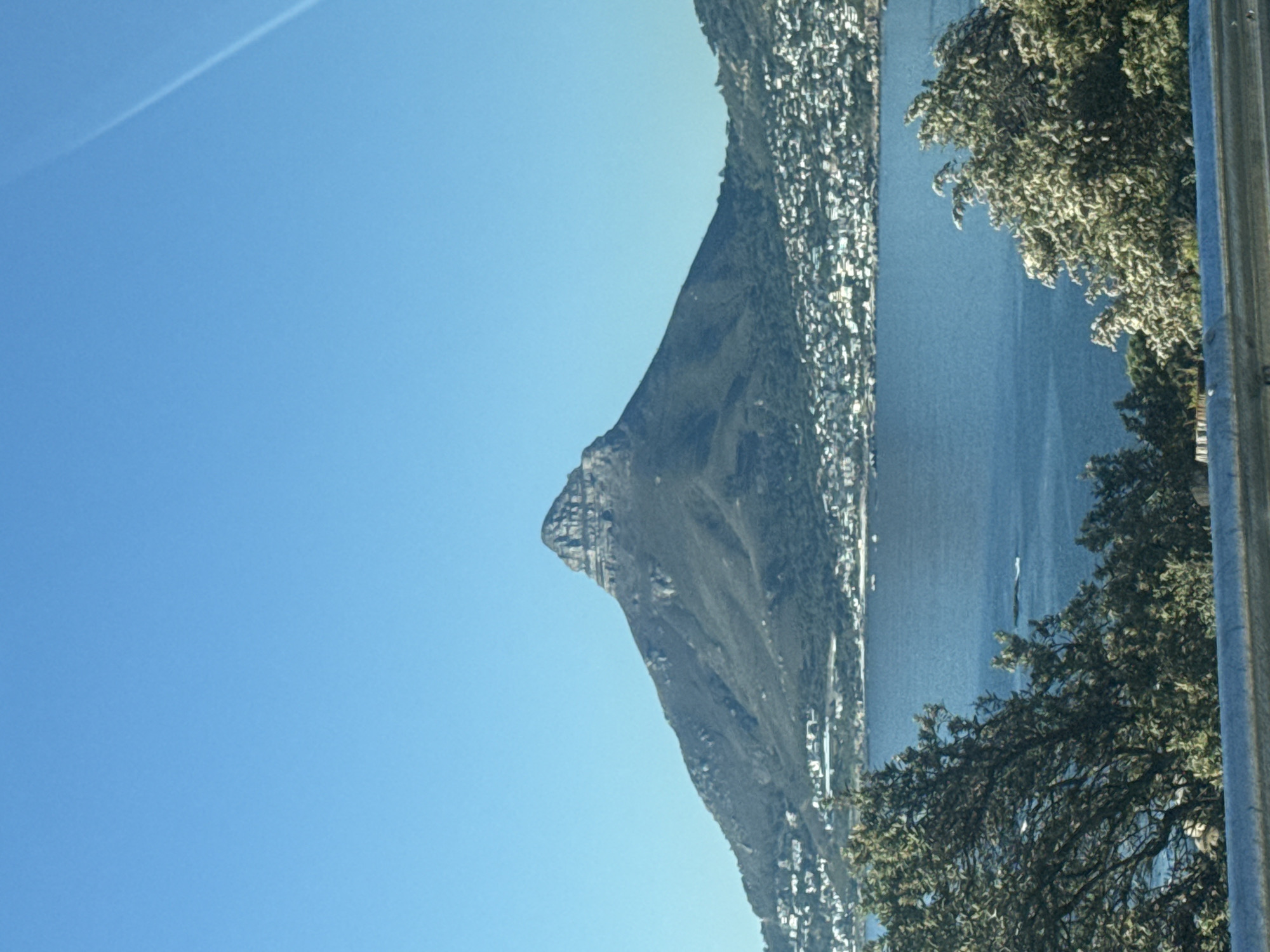 This vibrant outdoor image, presented rotated 90 degrees clockwise from its natural orientation, captures a scenic coastal landscape under bright, clear conditions. A prominent, rugged mountain, identifiable as Lion's Head in Cape Town, South Africa, dominates the scene. Its steep, rocky slopes descend towards a calm, blue body of water, which is the Atlantic Ocean.
Numerous white and light-colored buildings are densely clustered along the mountain's base and lower slopes, indicating a significant coastal settlement or city integrated with the natural topography. The expansive sky, a clear and bright blue, fills the upper portion of the image, with a faint white airplane contrail visible diagonally in the upper left.
On the far right, the view is partially framed by dense green foliage, likely trees, and a vertical grey, textured barrier or railing in the immediate foreground. The strong, even lighting suggests it is daytime, possibly morning or early afternoon, under clear weather conditions. No specific activities or individuals are visible, presenting a serene panoramic view of the natural and urban environment. No visible text is present.