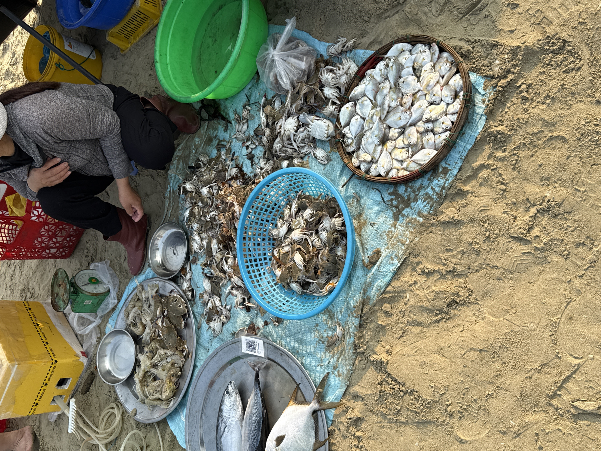 The image shows a fish market scene in Đà Nẵng, Vietnam. A person squats beside an array of freshly caught seafood displayed on a blue tarp laid on the sand. The seafood includes several species of fish, crabs, and other shellfish, arranged in baskets and metal trays. A weighing scale and various buckets and containers are scattered around the scene. The sandy environment indicates a beachfront or coastal location.