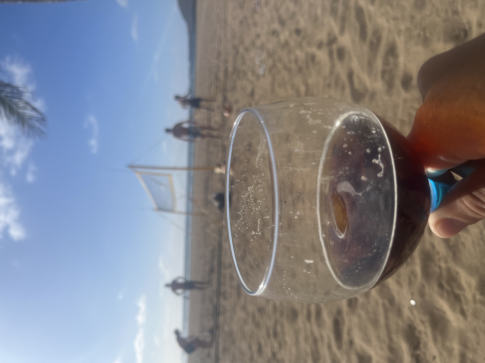 The image, taken at Las Canteras Beach in Las Palmas De Gran Canaria, Spain, shows a hand holding a wine glass filled with red liquid, obscuring part of the view. In the background, several people are playing volleyball on the sandy beach. A volleyball net is visible in the mid-ground. The sky is partly cloudy.