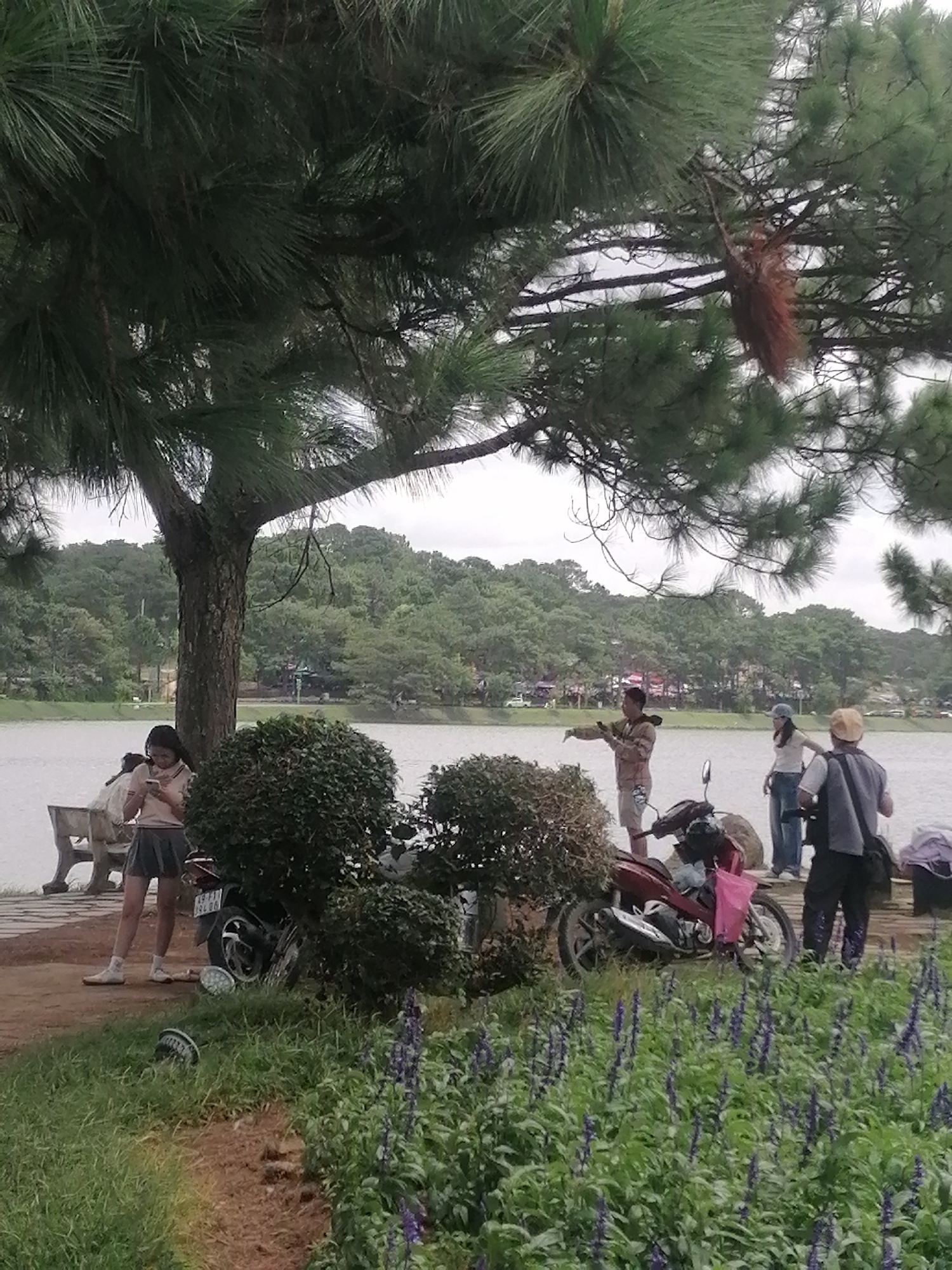 Memory