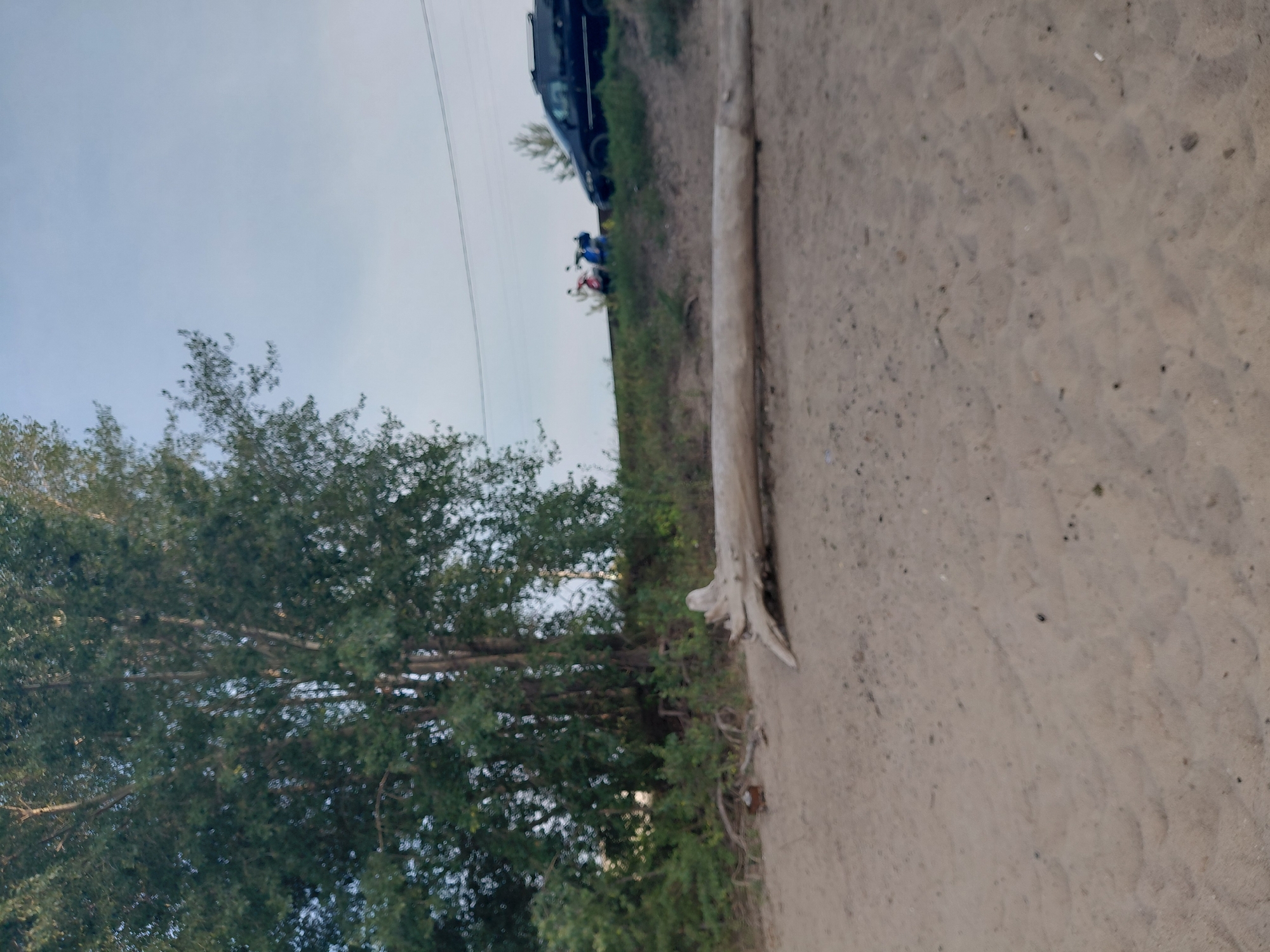 The image depicts a sandy shoreline, likely along a body of water, with vegetation on a slight embankment in the background. A large, weathered log lies horizontally on the sand in the foreground. Further back, a black van is parked on the embankment, and two scooters, one red and one blue, are positioned near it. The sky is overcast. The location is identified as the shore of the Ob River in Novosibirsk, Russia.