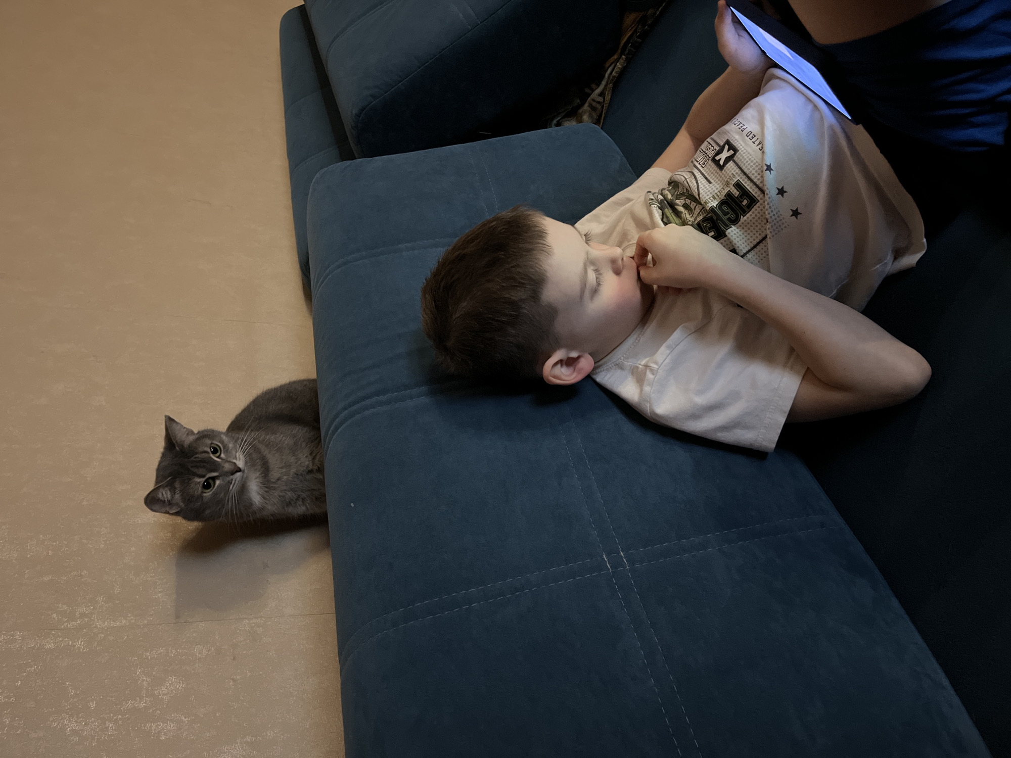 A gray tabby cat sits on a tile floor next to a dark blue couch in a room in Chaikovsky, Russia. A young child is lying on the couch, looking at a tablet. The child wears a white t-shirt.