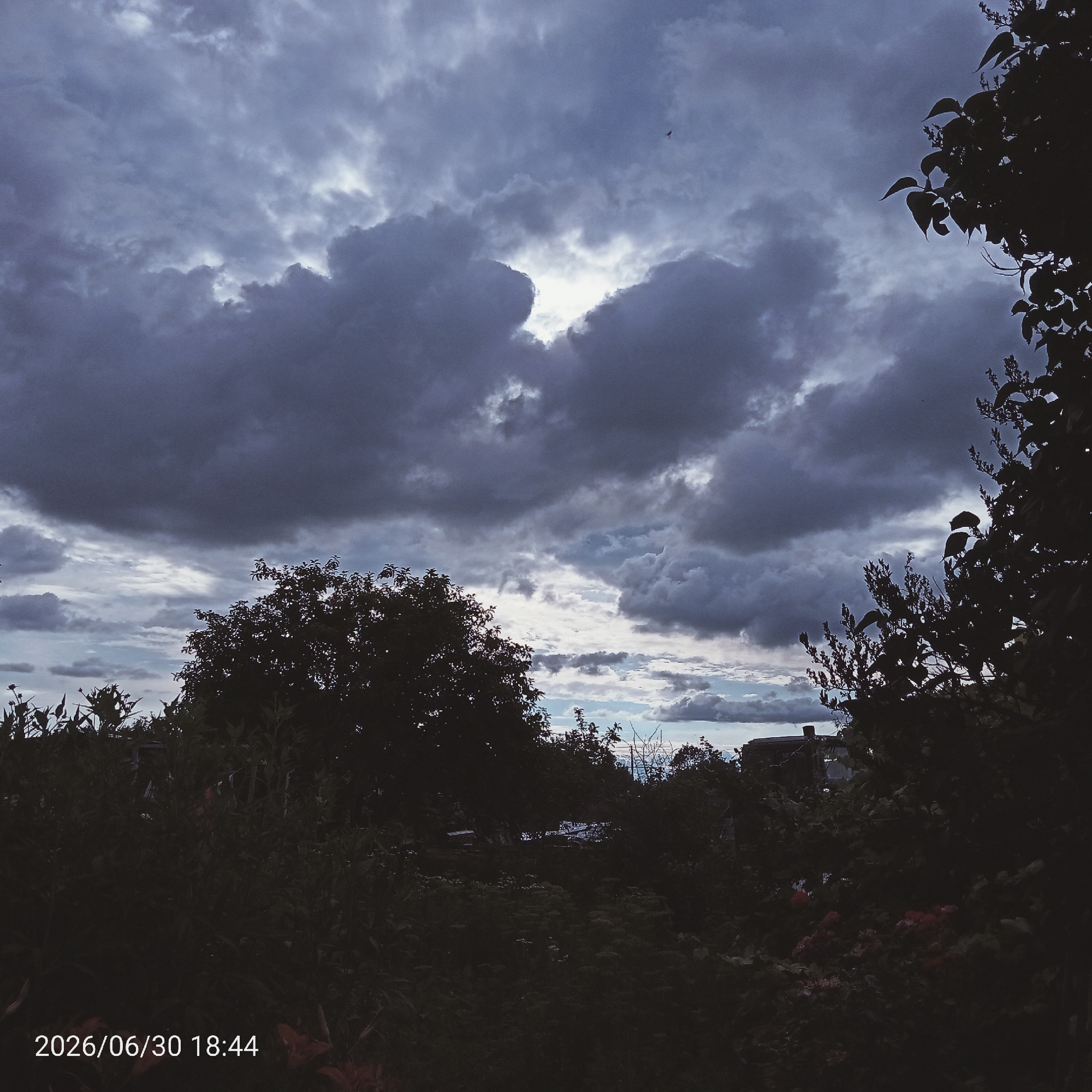 This image depicts a slightly overcast sky with dramatic, dark clouds, interspersed with patches of brighter sky. Silhouetted against this sky are the dark forms of trees and foliage, creating a sense of twilight or an impending storm. In the lower part of the image, the vegetation is dense and dark, with some hints of lighter-colored flowers or plants. A rooftop of a building is partially visible through the trees in the mid-ground. The overall mood is somber and slightly ominous, with the darkness of the foreground contrasting with the light breaking through the clouds. The time of day appears to be late evening, indicated by the soft, diffused light and the deep shadows. A timestamp in the bottom left corner reads "2026/06/30 18:44", suggesting the date and time the photograph was taken. There is also a tiny, dark shape in the sky that might be a bird or an insect.
