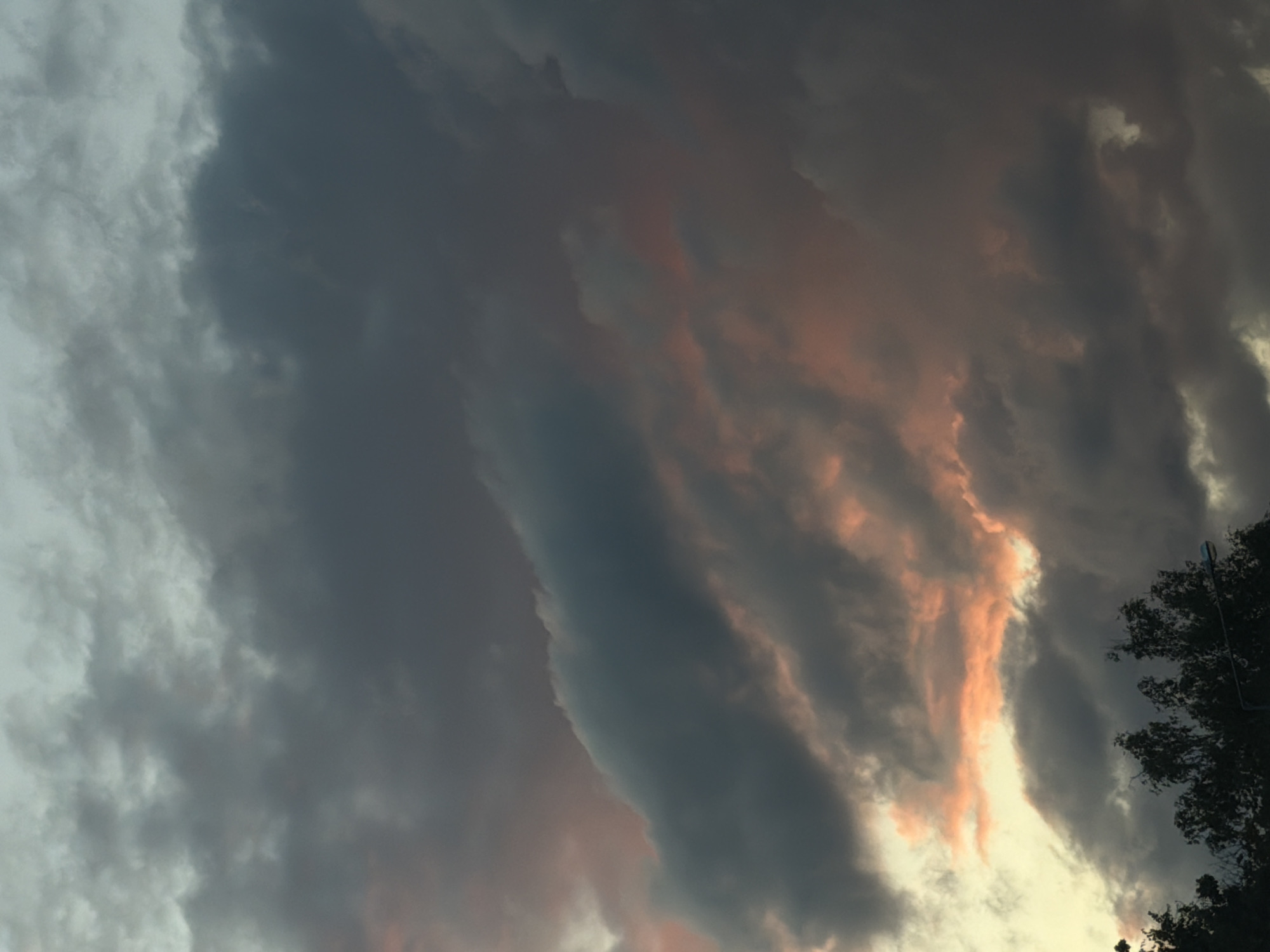 The image depicts a twilight sky with dense, dark clouds tinged with soft pink and orange hues. The lower portion of the image shows the dark silhouettes of trees and a streetlamp, suggesting an urban or suburban setting. The lighting and cloud formations indicate it is either sunrise or sunset. The scene is a natural skyscape observed from a ground-level perspective, likely within the city of Samara, Russia, given the provided context. No people or specific actions are visible.