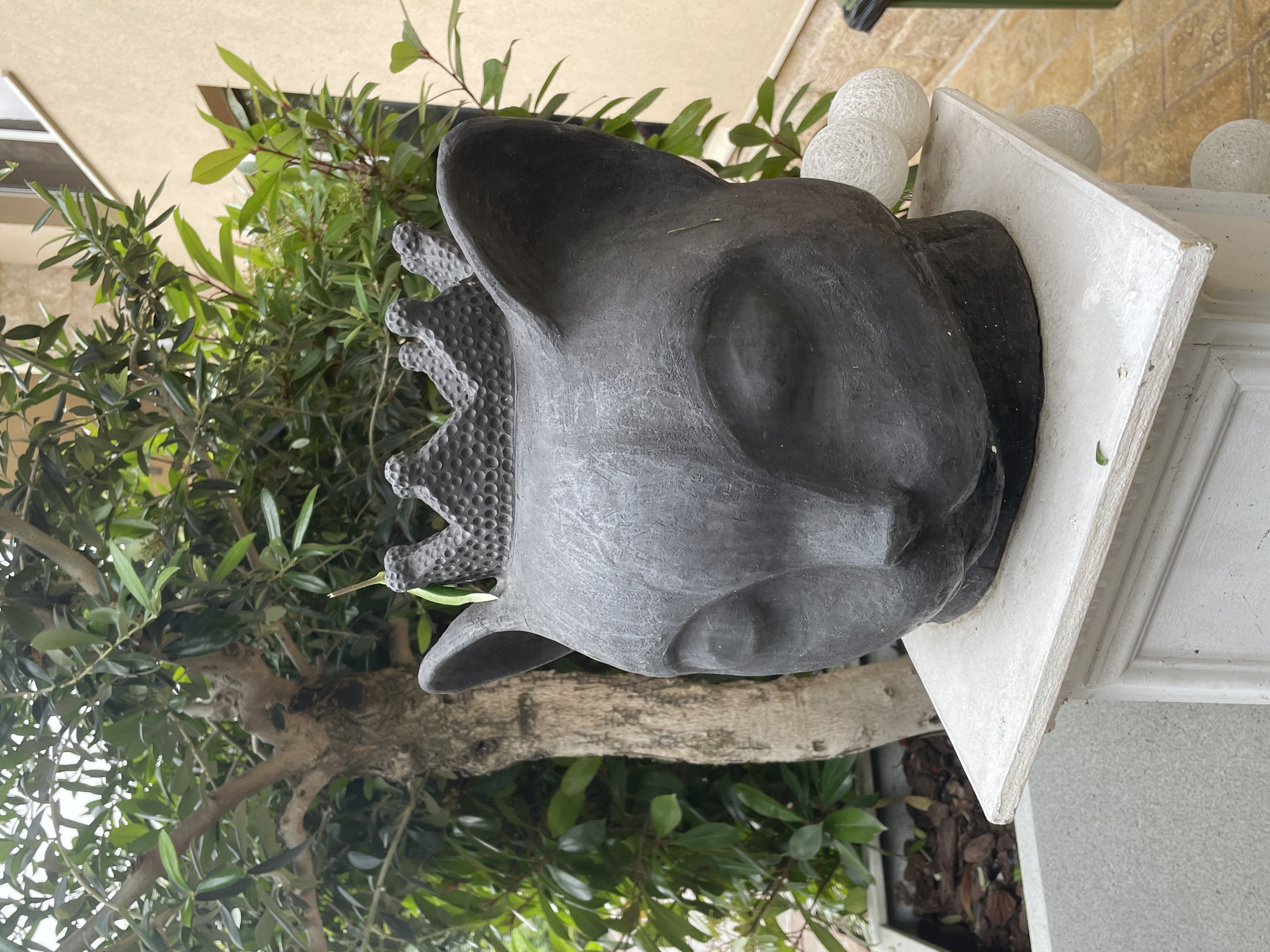 A black statue of a dog's head with a crown sits on a white pedestal in Budva, Montenegro. The statue is positioned amongst the green foliage of a tree or bush. There is a white fence visible behind the statue. The environment appears to be an outdoor garden or courtyard.