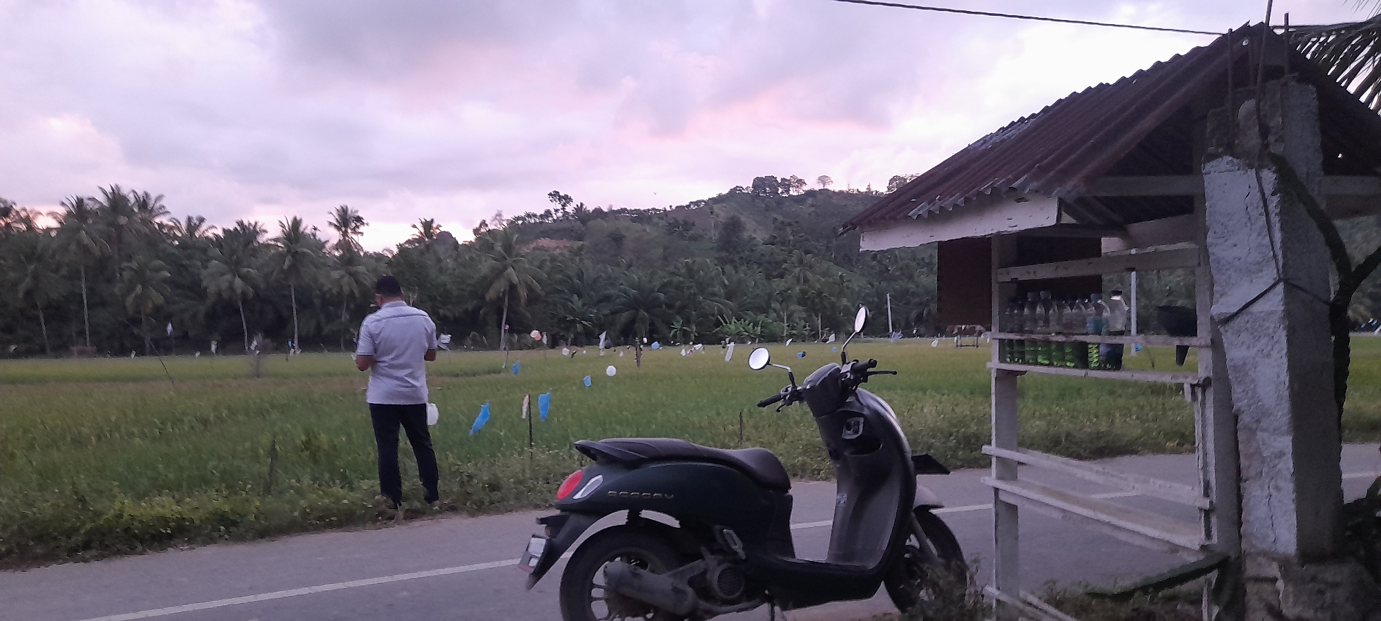 The scene in Palohpanyang, Indonesia, captures a rural landscape at dusk. A man in a light-colored shirt and dark pants stands on the roadside, seemingly looking into a rice field. A dark-colored scooter is parked near the roadside. A simple shelter or stall stands to the right, its shelves holding rows of bottles filled with liquid. The rice field in the background is decorated with a series of balloons and flags. The horizon shows a line of coconut trees and a low-lying hill under a cloudy sky.