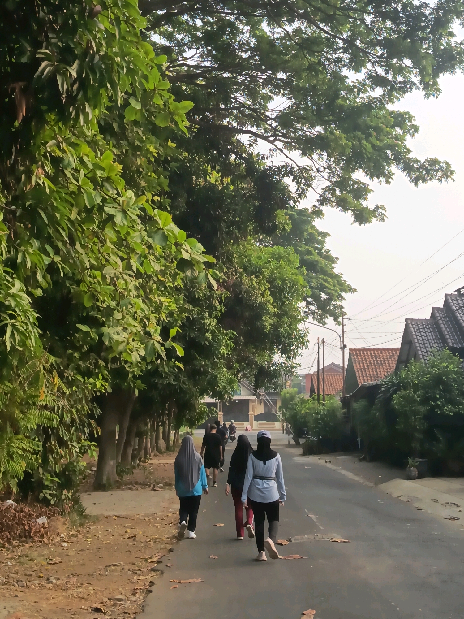 In an outdoor, daytime scene in a residential area of Unknown, Unknown, a paved road runs through a leafy green environment. Several people are walking on the road and on a dirt path beside it. On the left, a dense line of trees with abundant green foliage forms a natural barrier. To the right of the road, houses with terracotta tiled roofs are visible amidst more greenery and utility poles with wires. The weather appears overcast or hazy. The focus is on a group of individuals walking away from the camera on the asphalt. One person in the foreground wears a light blue hooded jacket and black pants, with a light gray hijab. Beside them, another person in a dark hijab and red pants walks. Further ahead, another individual in a dark hijab and light blue long-sleeved shirt and black pants is walking. In the distance, more figures and a motorcycle can be seen. The overall impression is of a quiet, residential street lined with trees, with people engaged in leisurely activity.