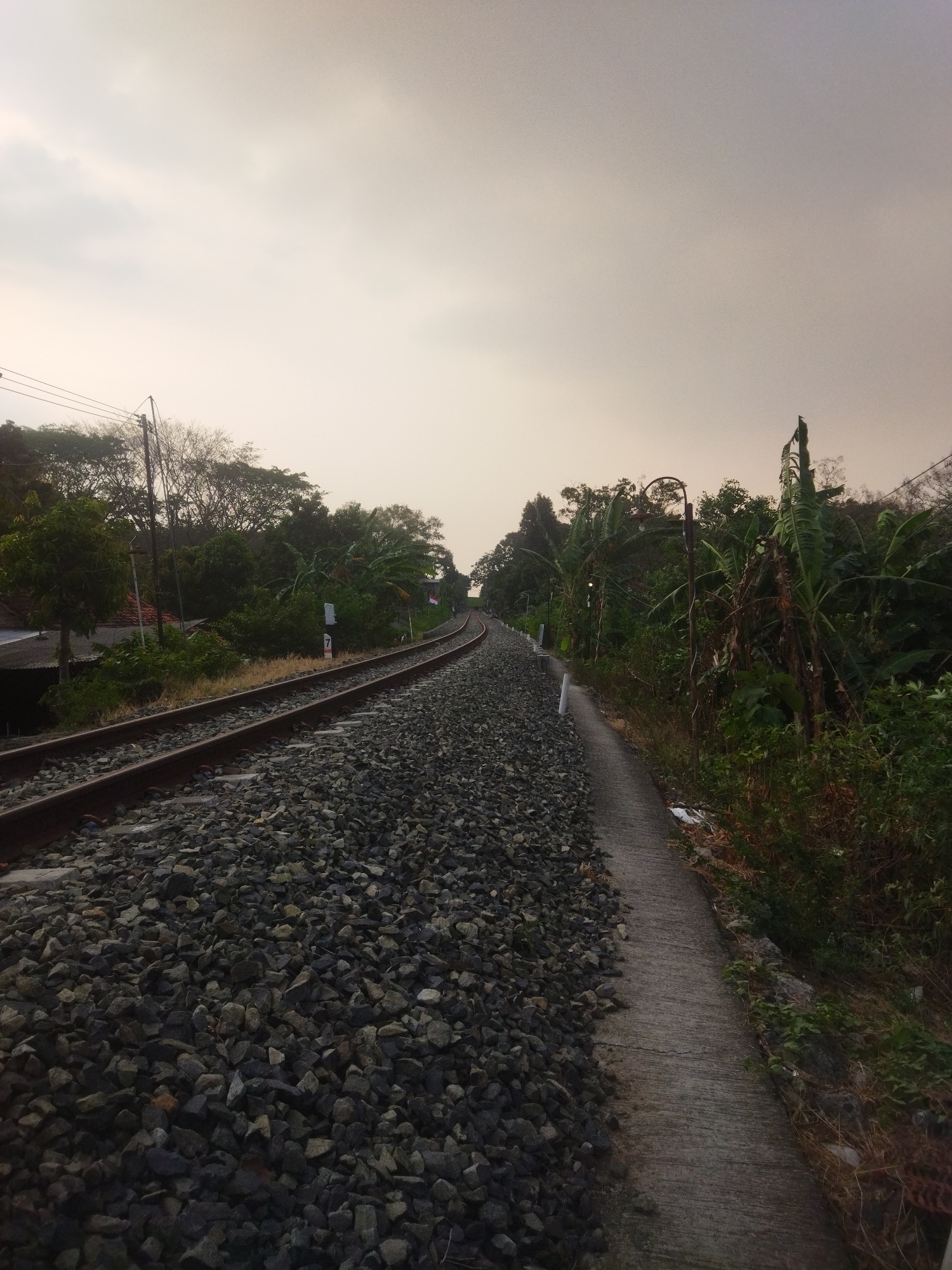The image depicts a railway track curving into the distance, flanked by a narrow concrete path on the right and a dense green environment on the left. The sky is overcast with diffused light, suggesting it is either early morning or late afternoon. The railway ballast is composed of dark gray stones. Vegetation, including trees and banana plants, grows densely on both sides of the tracks and path. A utility pole with wires is visible on the left, and a small white marker with the number "7" is present along the path. The scene appears to be in a rural or semi-rural area, possibly on the outskirts of Wonokarto, Indonesia, given the presence of tropical vegetation and the general aesthetic. There are no people or animals visible in the image. The overall impression is one of a quiet, undeveloped area with a functioning railway line.