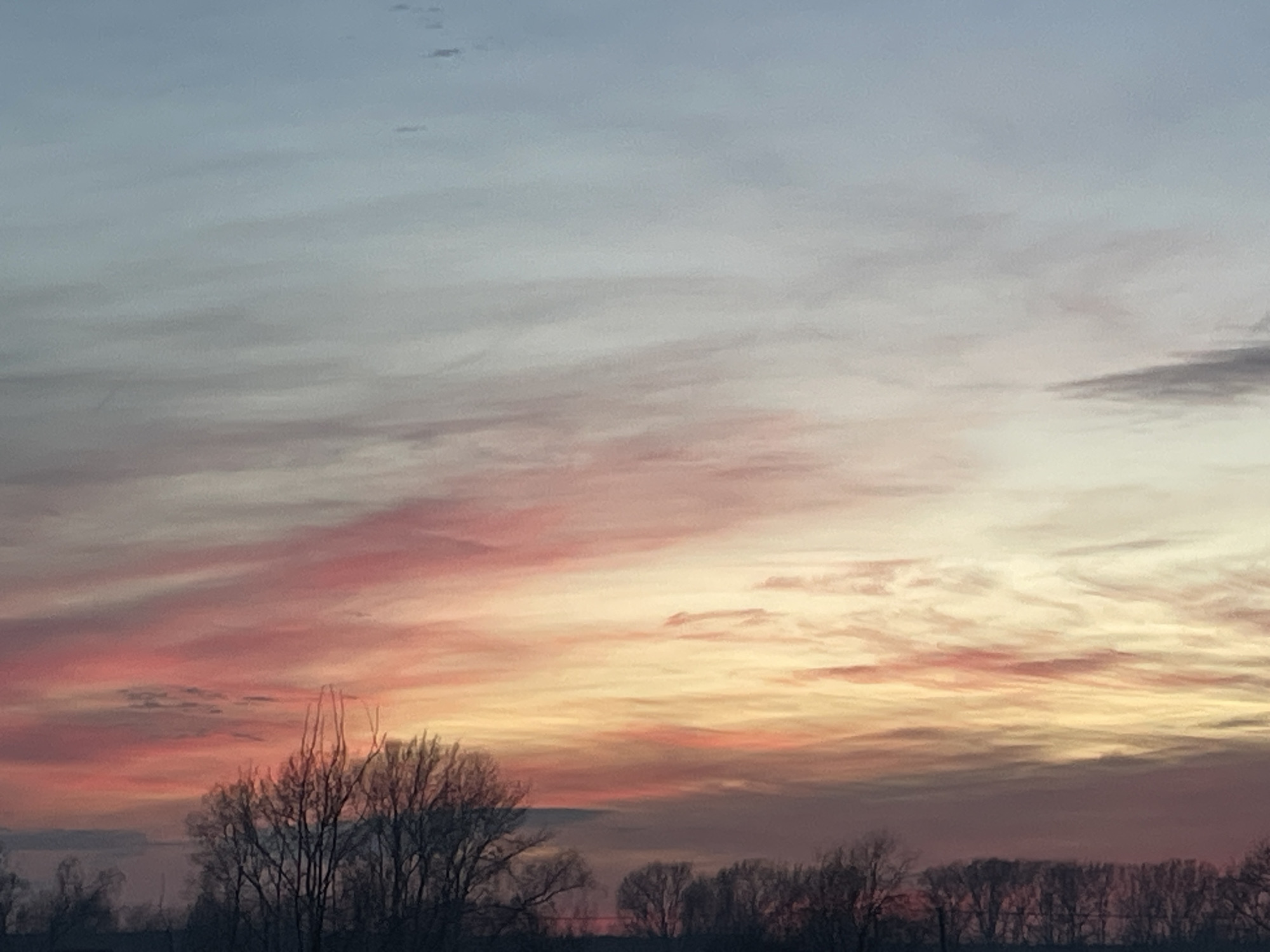 The image depicts a natural landscape scene at either sunrise or sunset, observed in the city of Chaikovsky, Russia. The sky occupies the majority of the frame, displaying a gradient of colors from light blue and pale grey in the upper section, transitioning to distinct bands of pink, red, orange, and yellow hues towards the horizon. Various cloud formations, appearing as streaky and diffused patches, are illuminated by the low sun. In the lower portion of the image, a horizontal line of dark, silhouetted deciduous trees without leaves is visible. Behind this tree line, a dark, level band is discernible, consistent with a body of water such as the Votkinsk Reservoir. No people, structures, or specific actions are identifiable within the frame.