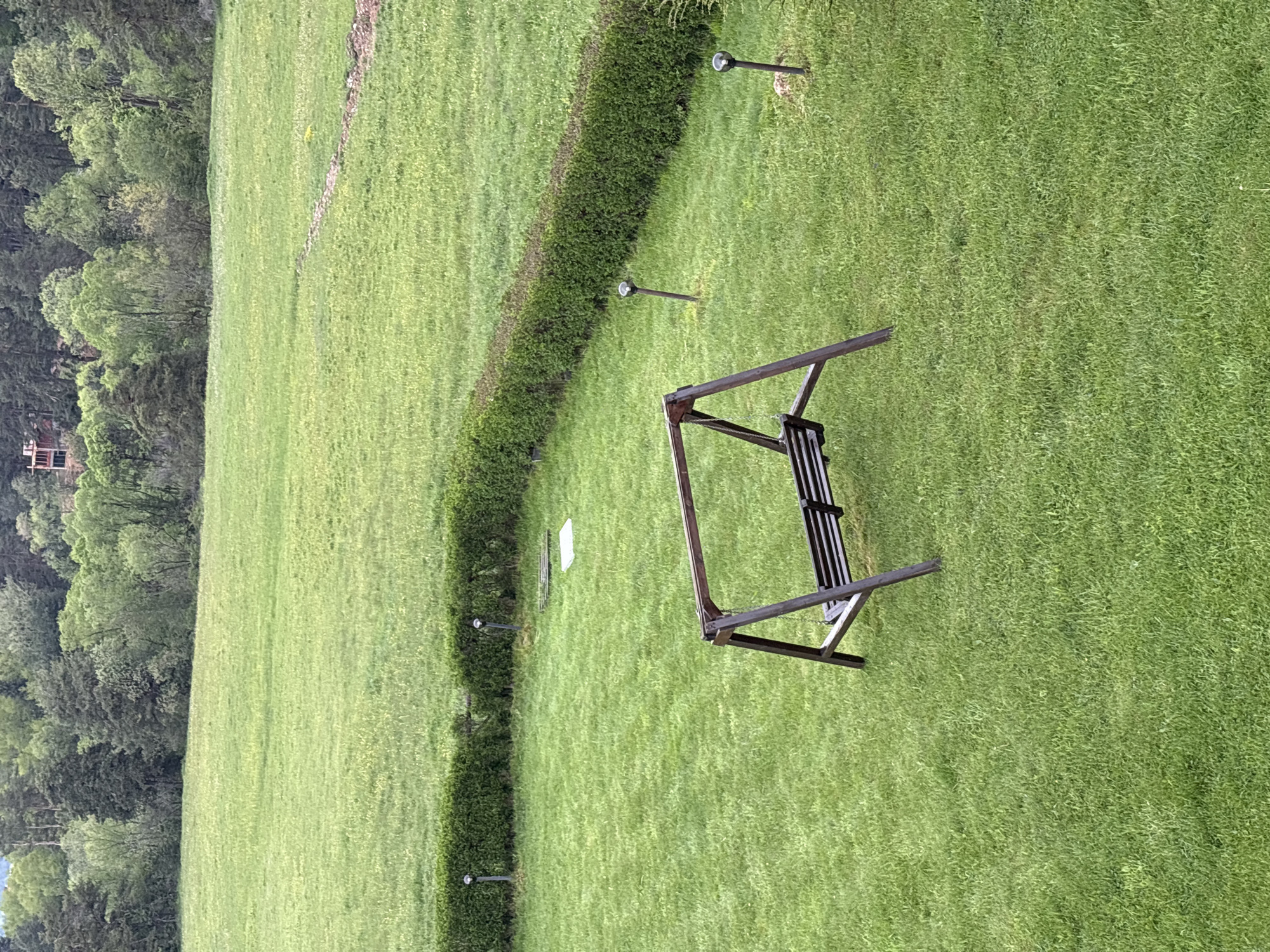 The scene depicts an outdoor area in Tsigov chark, Bulgaria. A metal swing set sits on a well-maintained green lawn. A trimmed hedge borders the lawn. Small, post-mounted lights are spaced along the hedge. A forest is visible in the background. A small structure is faintly discernible within the forest.