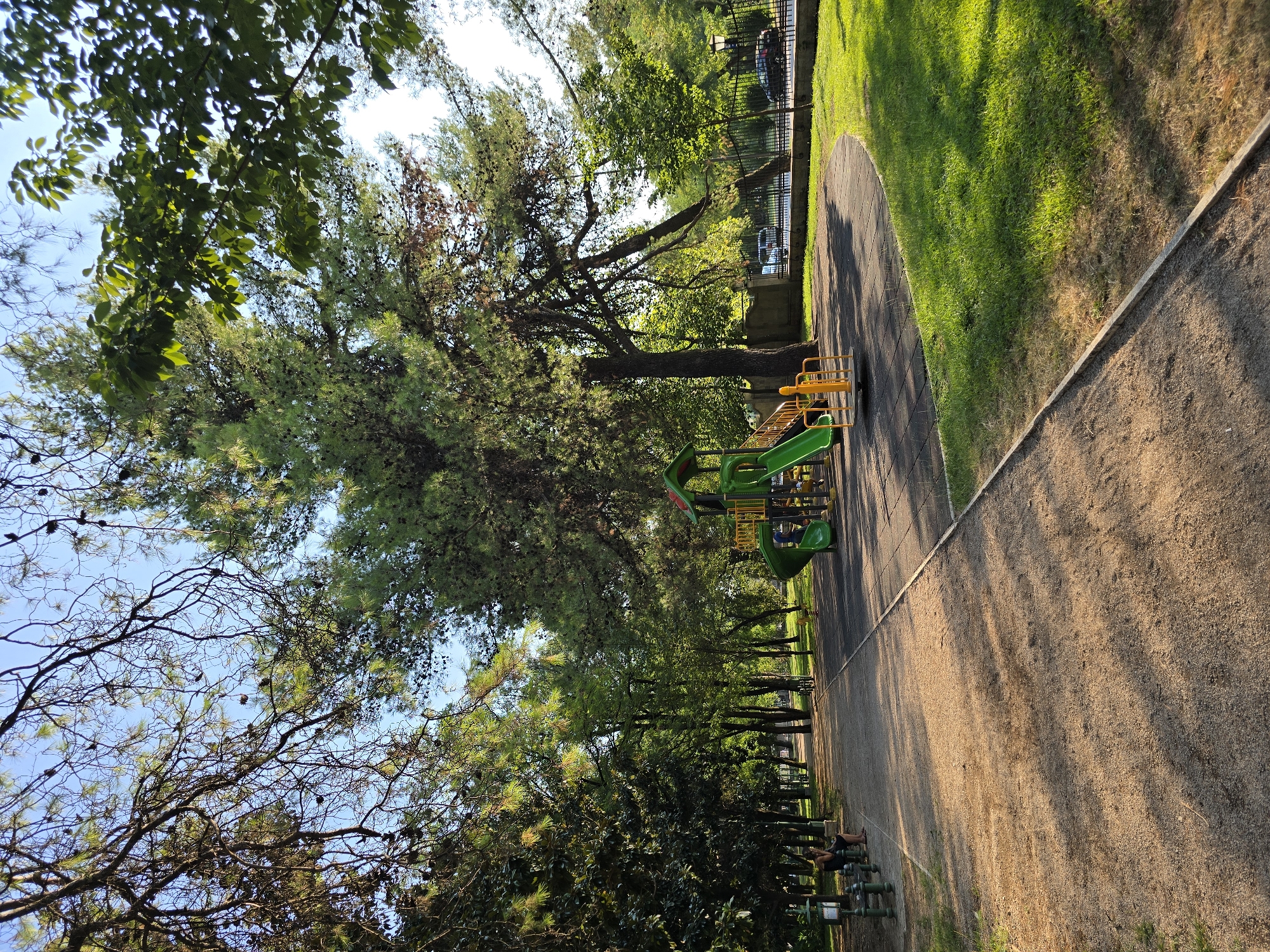 The image depicts a park scene with a playground in Podgorica, Montenegro. In the foreground, a sandy path curves to the right, bordered by grass. To the right of the path is a children's playground featuring a green and yellow slide structure and a yellow merry-go-round. Beyond the playground, a black metal fence encloses a grassy area where several cars are parked, and a street lamp is visible. A large, mature tree with dense foliage dominates the central part of the image, casting shadows on the path. Lush green trees and foliage line the left side of the path, where a person is seated on a green bench. The sky above is clear and blue.