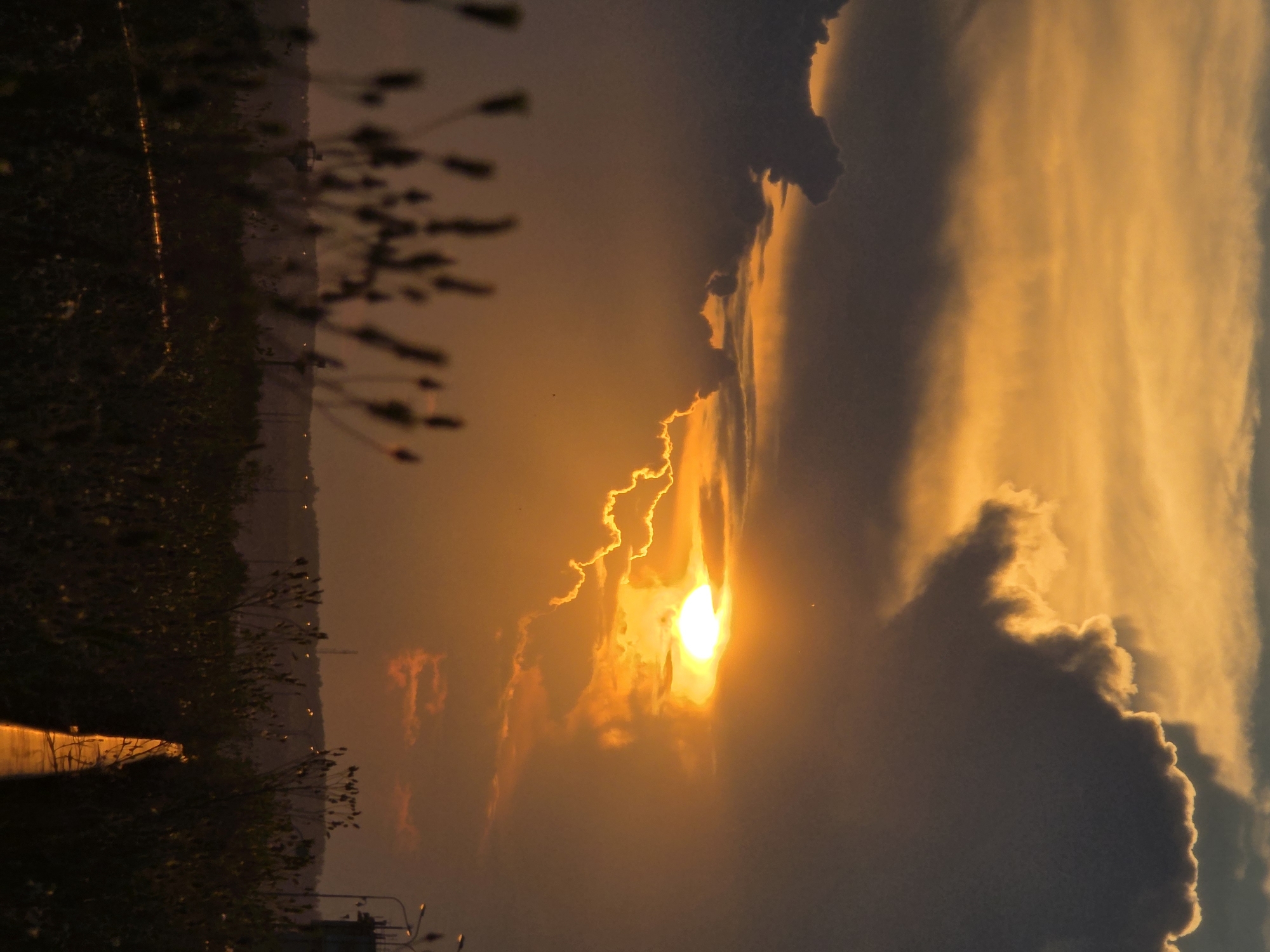 The image shows a dramatic sunset over the city of Chaikovsky, Russia. The sun is partially obscured by dark, heavy clouds, but its brilliant orange glow shines through, illuminating the sky with warm hues. The clouds themselves are edged with light, creating a striking contrast between darkness and radiance. In the foreground, silhouetted against the vibrant sky, is a dense field of dark vegetation, possibly grass or reeds, with tall stalks reaching upwards. A narrow, reflective surface, possibly a wet path or a metallic structure, runs diagonally through the vegetation, catching the sunset's light. In the background, the faint outline of distant buildings and structures can be seen, along with streetlights that dot the horizon. The overall scene evokes a sense of natural beauty and the quiet atmosphere of a city at dusk.