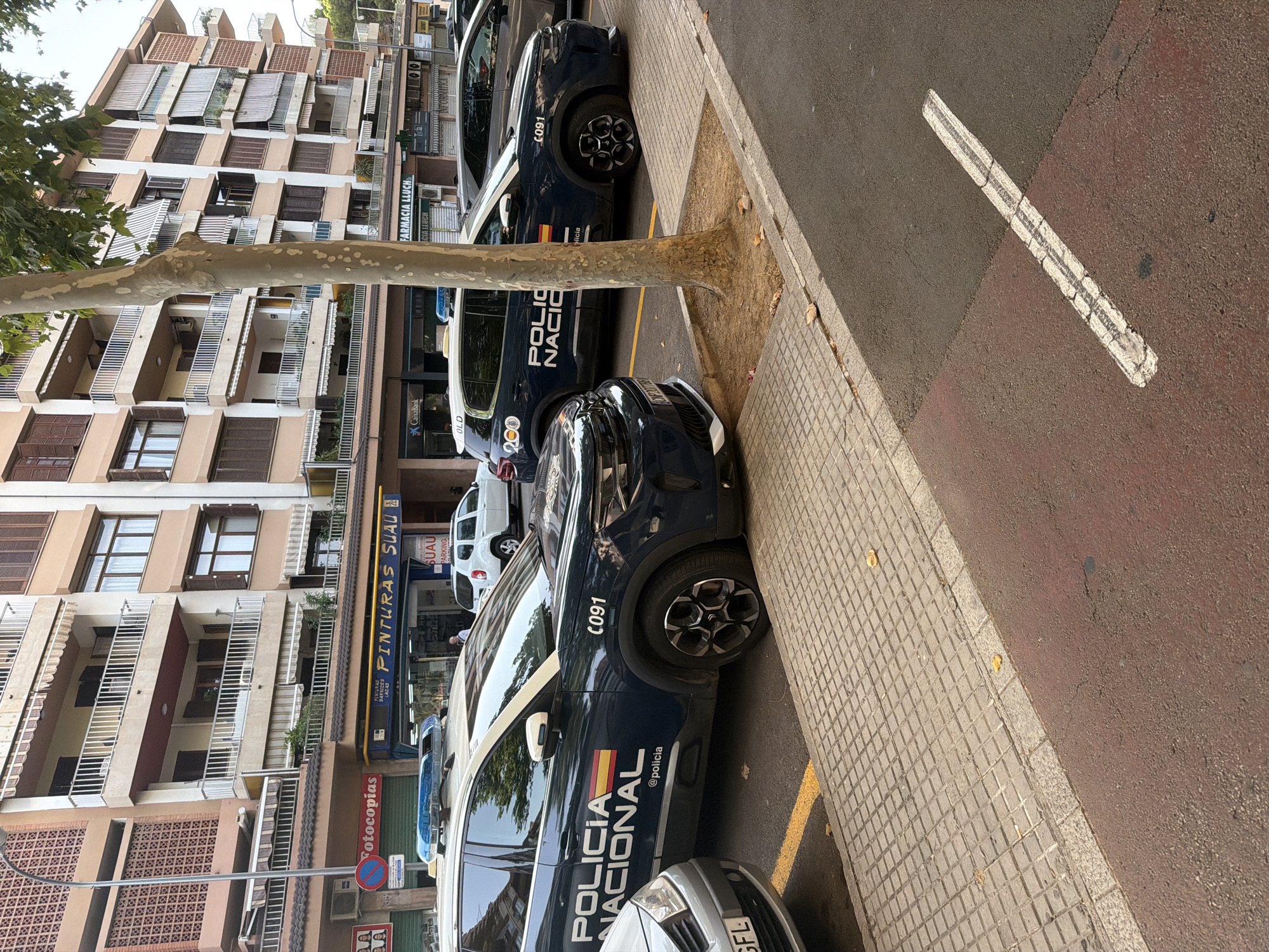 The image depicts a street scene in Palma de Mallorca, Spain, with a focus on several parked vehicles and a building facade. Two dark blue police cars, marked "POLICIA NACIONAL" and with the Spanish flag emblem, are prominently featured in the foreground. One police car, designated with the number "C091", is parked closest to the viewer, its right front wheel is turned outwards. A lighter-colored vehicle is parked to its left. Behind the police cars, a white SUV is visible, and further back, another dark-colored vehicle is parked. The vehicles are parked on a street adjacent to a sidewalk paved with square tiles. The background reveals a multi-story building with a facade of light brown and beige tones. The building features multiple balconies with white railings and brown shutters. Several businesses are located on the ground floor, including "FARMACIA LLUCH" and "FOTOCopies". A tall tree with a textured trunk stands in the middle of the scene, partially obscuring the building. The overall environment suggests an urban setting on a clear day, with ample natural light.
