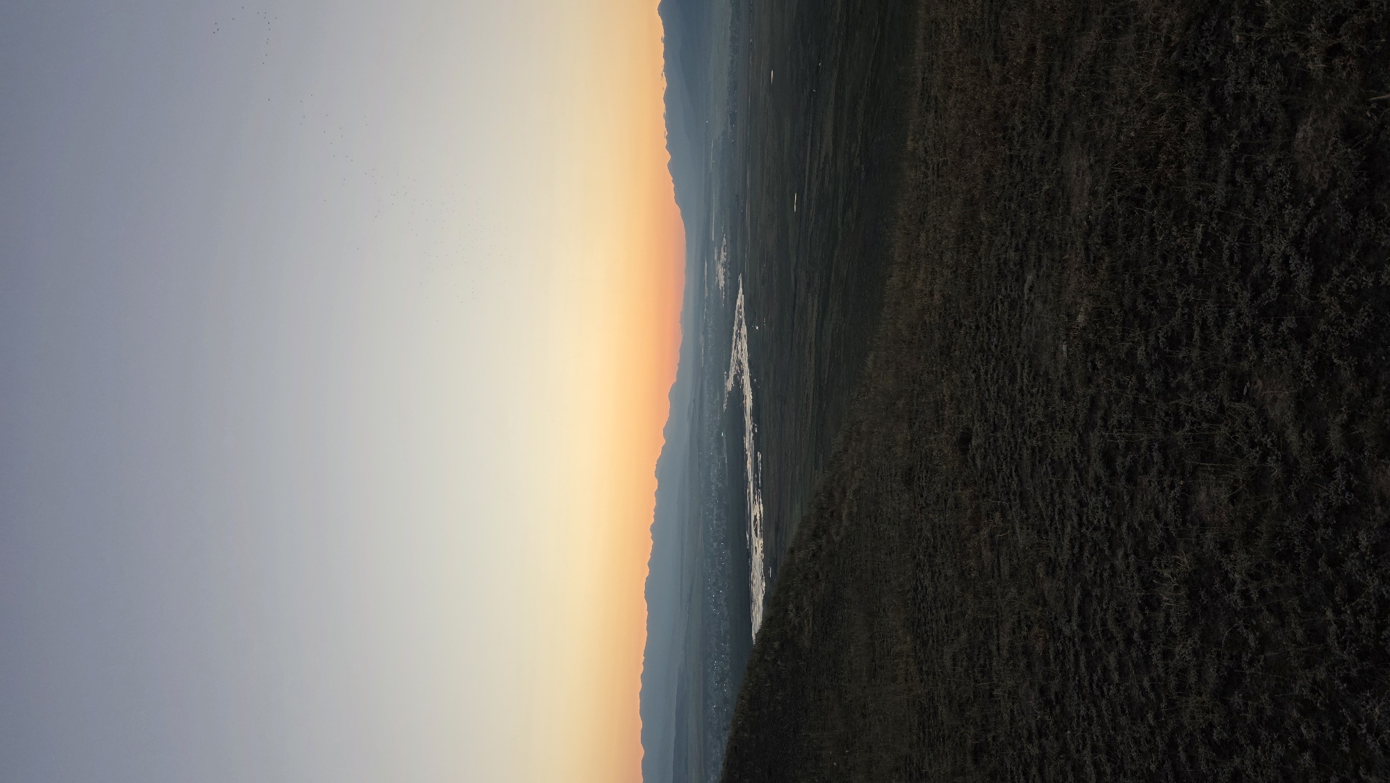 A wide-angle, low-angle shot captures a serene landscape at dusk. The foreground is dominated by a grassy, uneven hill, its texture detailed with dry blades of grass and sparse vegetation. Beyond the hill, a vast valley unfolds, bisected by a meandering river that reflects the soft twilight hues. In the middle distance, a town is nestled, its lights just beginning to twinkle. The horizon is framed by a chain of distant, softly-lit mountains, their peaks fading into the hazy atmosphere. The sky transitions from a pale blue at the top to a vibrant orange and yellow gradient near the horizon, indicating the setting or rising sun. A faint scattering of birds is visible in the upper portion of the sky. The overall impression is one of peaceful, natural beauty, likely captured from an elevated vantage point overlooking the town of Ak-Jar, Kyrgyzstan.