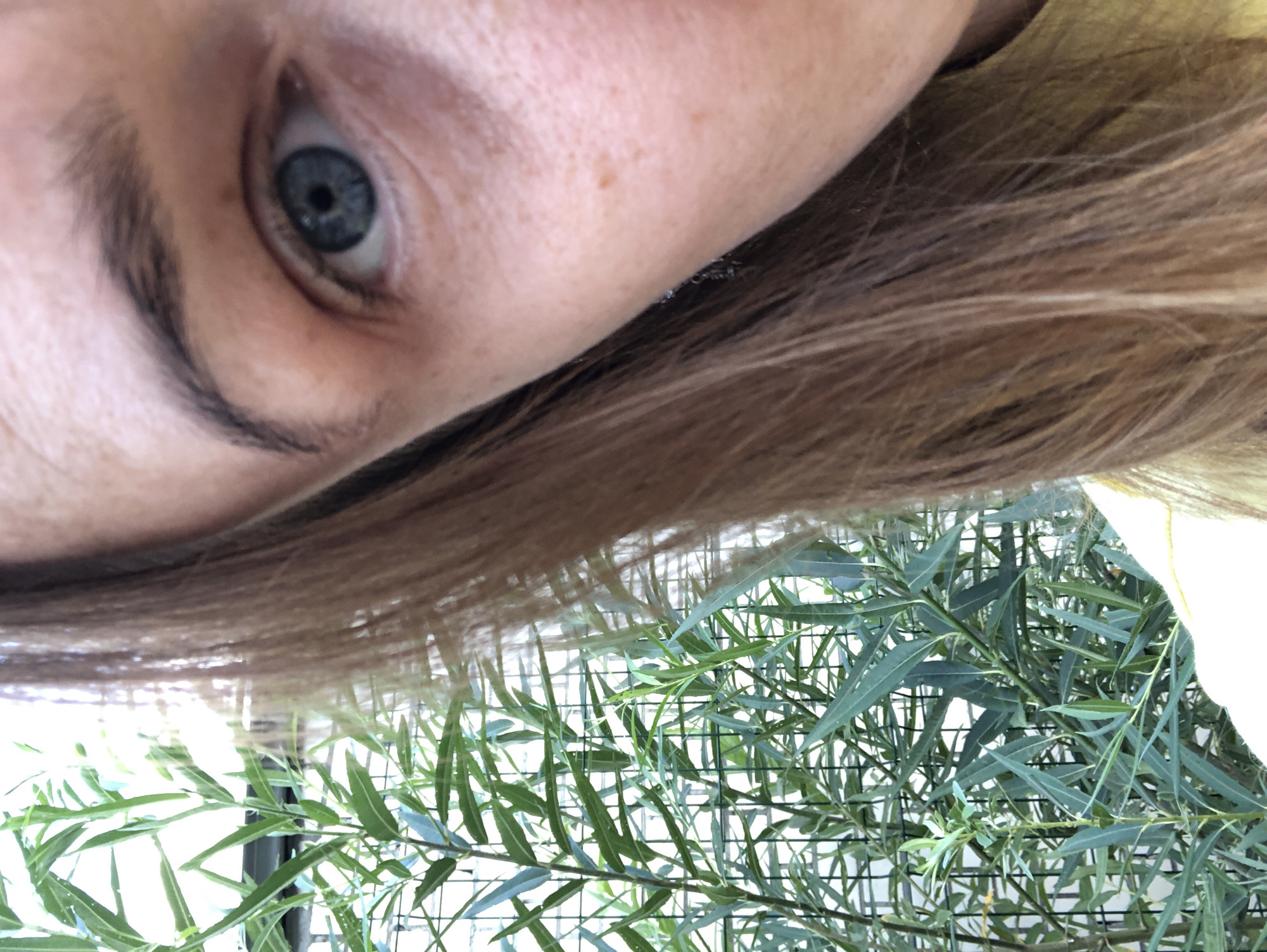 A close-up, upper-body, selfie-style photograph shows a woman's right eye, part of her face, and her brown hair. The woman is wearing a yellow top. To the left of the woman is a fence with lush green foliage growing through it. The image appears to have been taken outdoors. There is no information within the image to determine its location in Zhukovo, Russia.