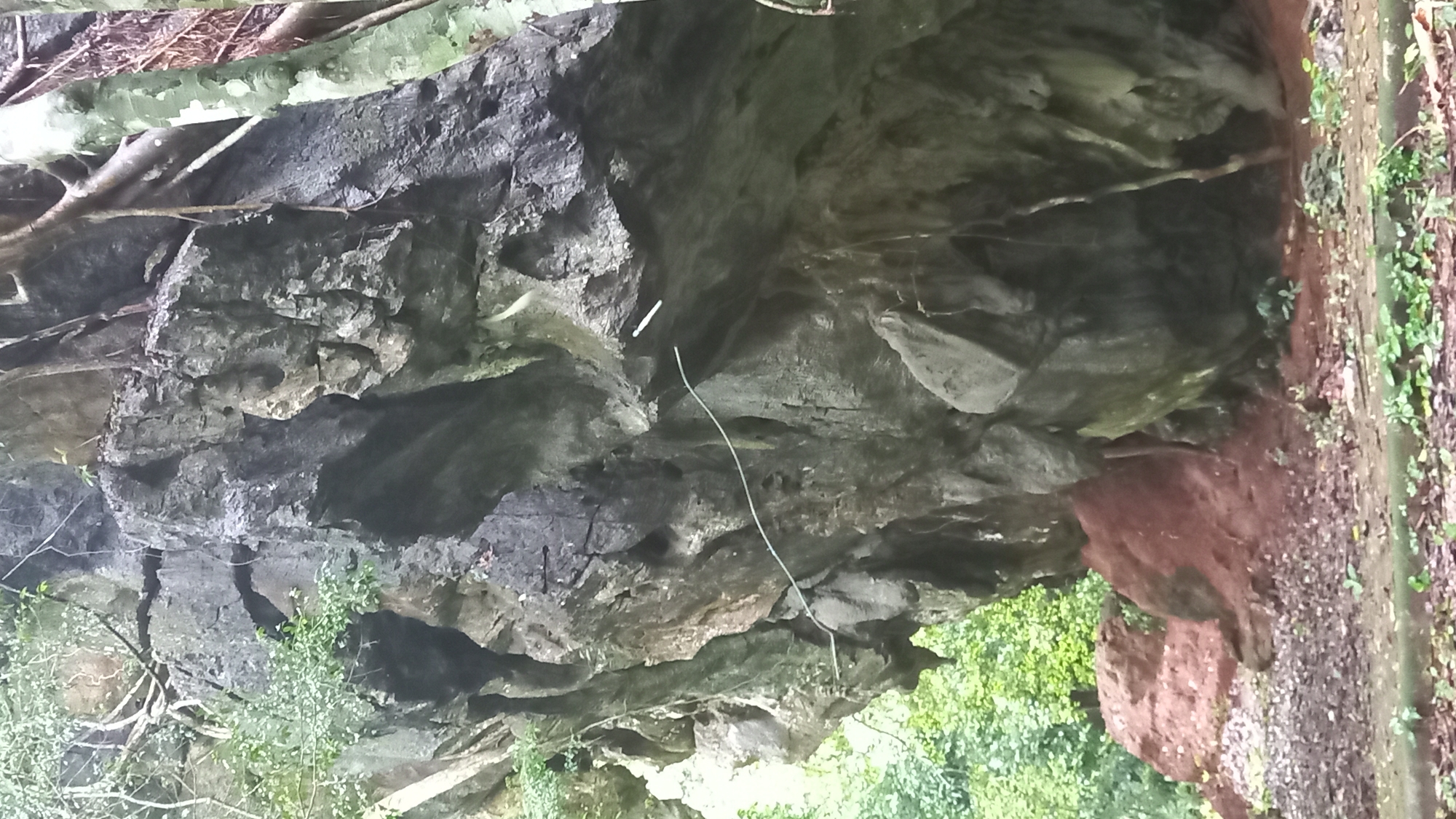 The image depicts a rock overhang in Ban Pak Ra, Thailand. The rock face is gray and textured, with some green vegetation at the bottom left and bottom right. A white wire hangs down the rock face. To the right, the ground is visible with reddish soil and more green vegetation. A tree branch is visible in the upper left corner.
