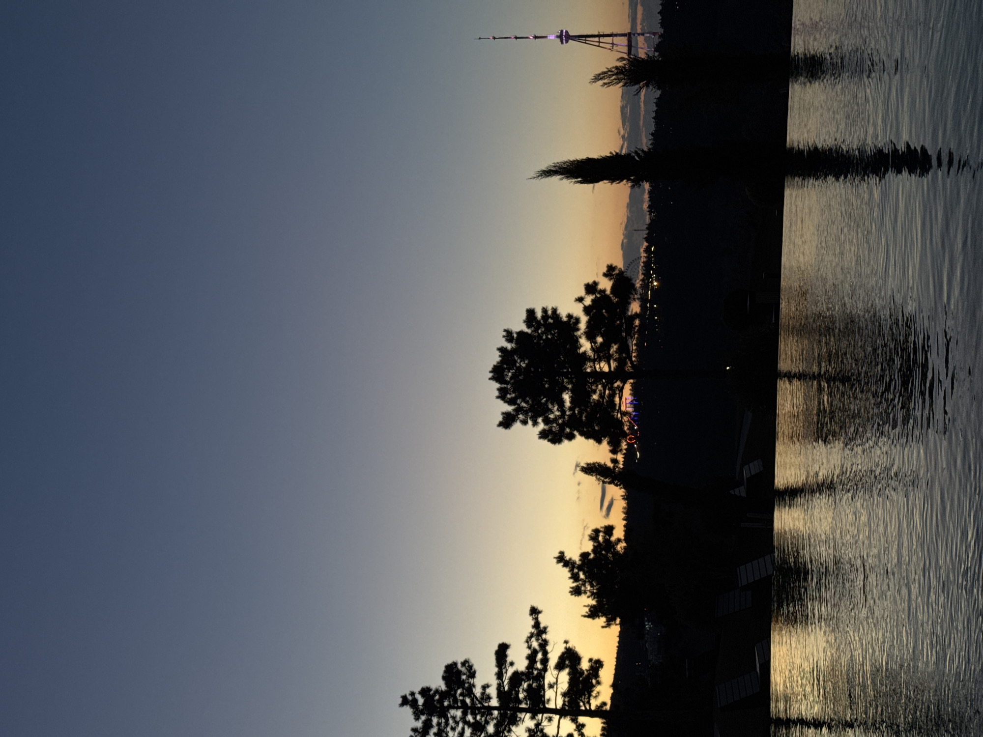 This media file captures a twilight scene by a body of water, likely a river or lake, in Tbilisi, Georgia. The sky transitions from a deep blue at the top to a soft orange and yellow hue near the horizon, indicating either sunrise or sunset. Silhouetted against this sky are several trees, some appearing to be palm trees, and a distant television tower topped with purple lights.
On the left side of the frame, the expansive sky dominates, gradually lightening towards the right. In the middle ground, a dark silhouette of trees and possibly some urban structures are visible. A prominent feature is a tall, slender tower with illuminated sections, a landmark likely identifiable to those familiar with Tbilisi. In the far distance, a Ferris wheel can be faintly seen, adding to the urban context.
The right side of the image is filled with the rippling surface of the water. The water reflects the muted colors of the sky and the dark silhouettes of the trees, creating a textured, almost abstract pattern of light and shadow. The overall mood is serene and contemplative, with the calm water and the fading light of day contributing to a peaceful atmosphere. The image is oriented vertically. There is no visible text in the image.