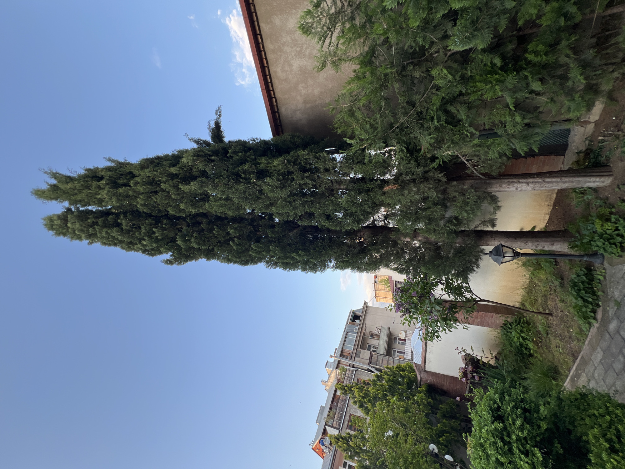 The image depicts an outdoor scene in Tbilisi, Georgia, characterized by a mix of natural and urban elements. The sky is predominantly blue with scattered clouds, providing ample daylight. A tall, narrow tree with dense green foliage stands prominently in the foreground, reaching upwards. Adjacent to the tree is a building with a light-colored facade and a red-tiled roof edge visible. Other trees and greenery partially obscure additional buildings in the background. In the lower portion of the image, there's a sidewalk or pathway with paving stones, accompanied by bushes and a streetlight. The scene appears to be a quiet street or garden area, with a composition that showcases the urban landscape integrated with natural elements.