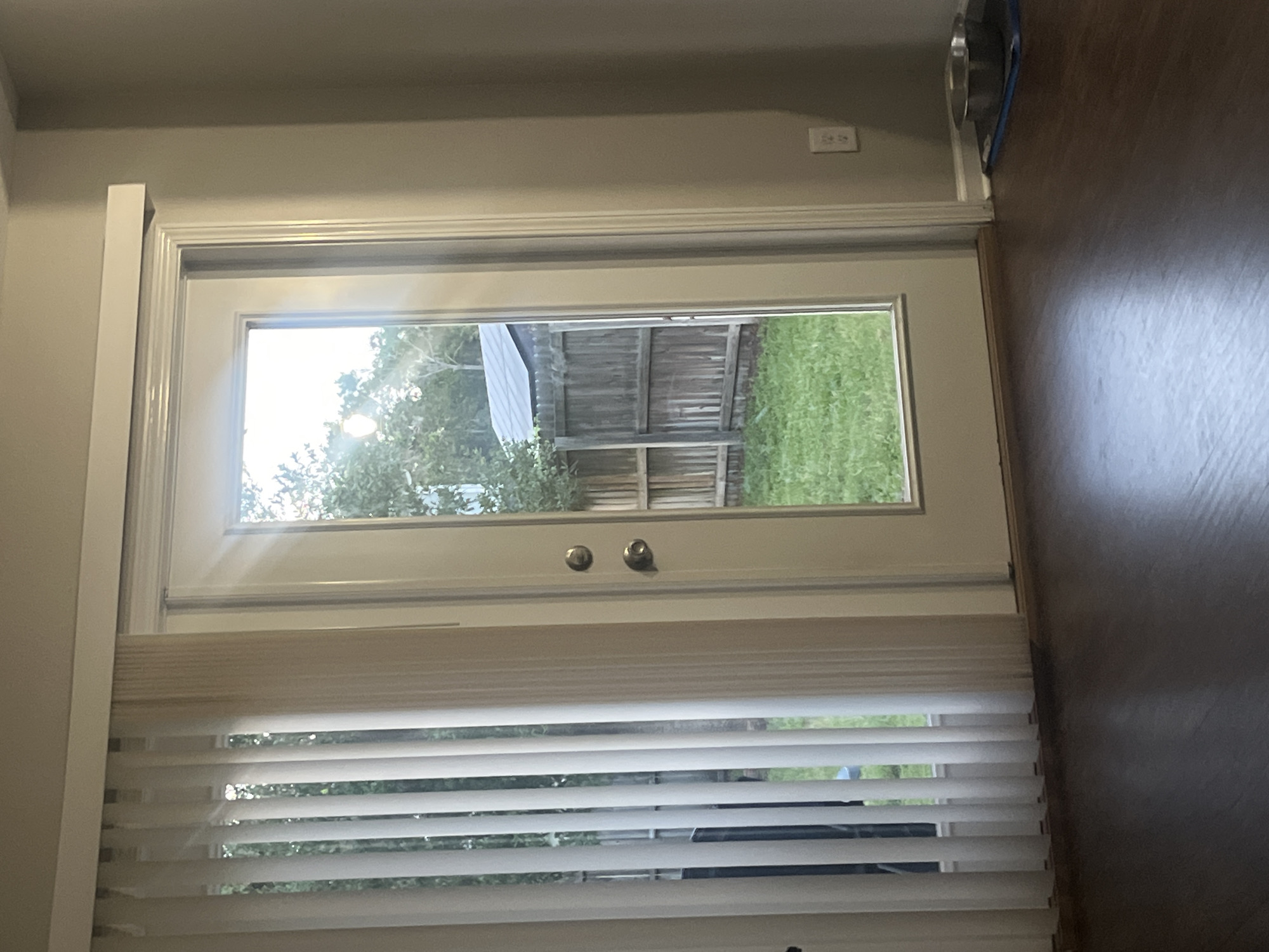 An interior shot shows a closed white-framed glass door with a doorknob and a deadbolt. To the left of the door, vertical blinds cover a window. Through the glass door, a wooden fence and green grass are visible in the backyard, with trees and a shed in the background. To the right of the door, a light-colored wall features a white electrical outlet. On the floor, a dark wood laminate is visible, with a metal pet bowl on a blue mat in the lower right corner. The scene is static and devoid of human presence. The image is not sufficient to determine the city of Jacksonville, United States of America.