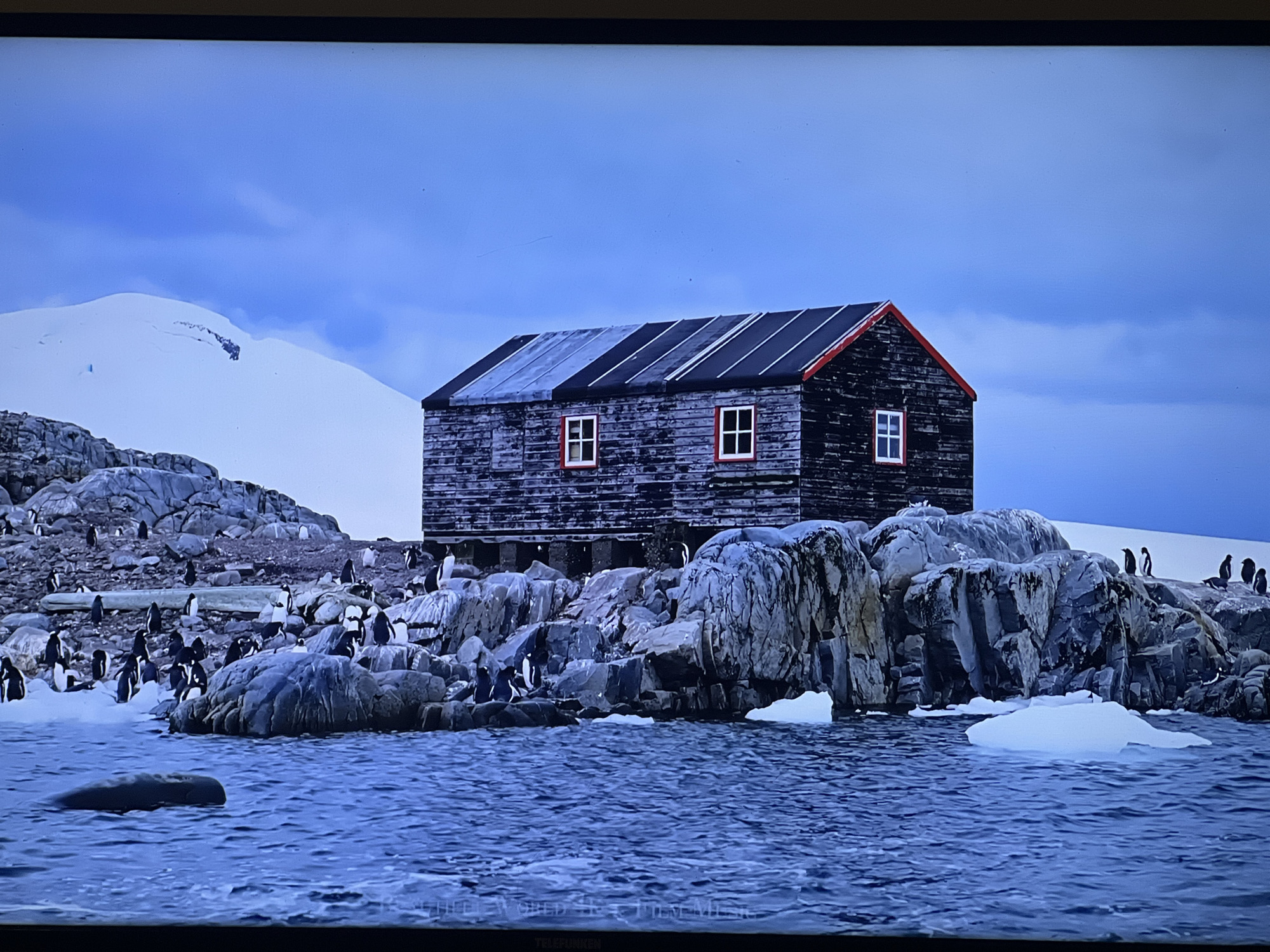 The image depicts a dark wooden building with a red-trimmed roof and windows, situated on a rocky shore. The building appears weathered and is elevated on stilts. A colony of penguins is scattered across the rocks and in the water. In the background, a snow-covered mountain rises under a cloudy blue sky. The foreground shows the dark blue, rippling water of the ocean, with a dark, elongated object partially submerged on the left side of the frame. Small ice floes are visible in the water near the shore and among the rocks. The scene is devoid of any human presence and does not contain any elements that would suggest it is located in Sofia, Bulgaria.