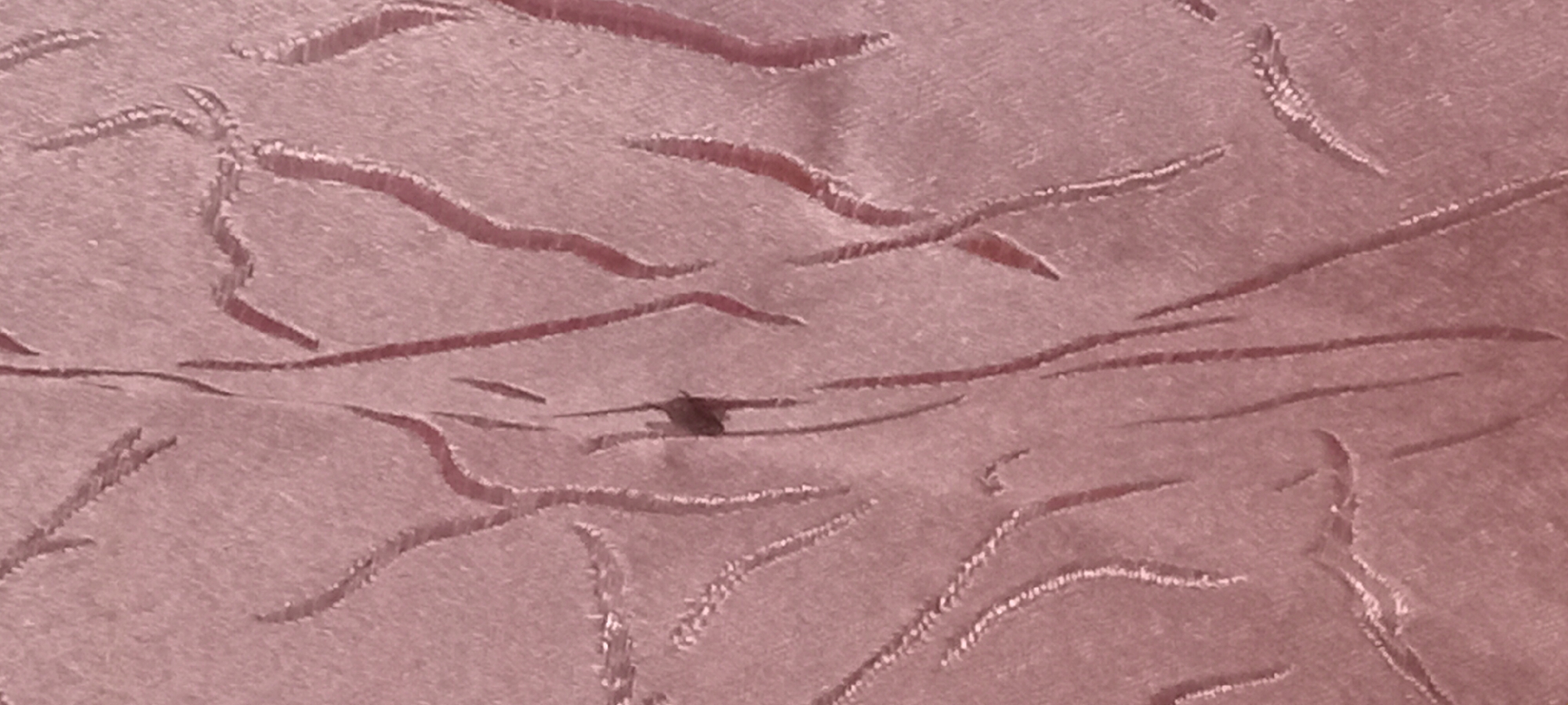 The image displays a close-up, static view of a pink, textured fabric. The fabric appears to have a raised, embossed pattern of irregular, wavy lines or shapes. In the center of the image, there is a small, dark, insect-like object. The lighting suggests it might be indoors or under artificial light, casting subtle shadows that highlight the fabric's texture. There is no indication of the city of Koviahy, Ukraine, or any specific location within it.