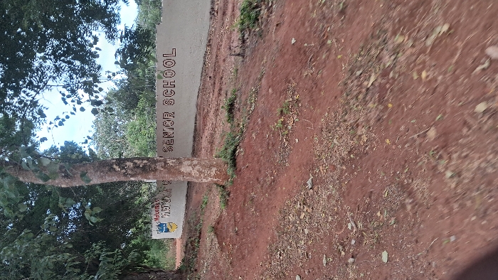 A sign for "Senior School" stands by a dirt path next to a tree. The sign is partly obscured by the tree trunk. Reddish-brown soil covers the ground, littered with small rocks and debris. Trees with green foliage are visible in the background and on the left, offering partial shade. The sign also says "Welcome". The image appears slightly blurry.