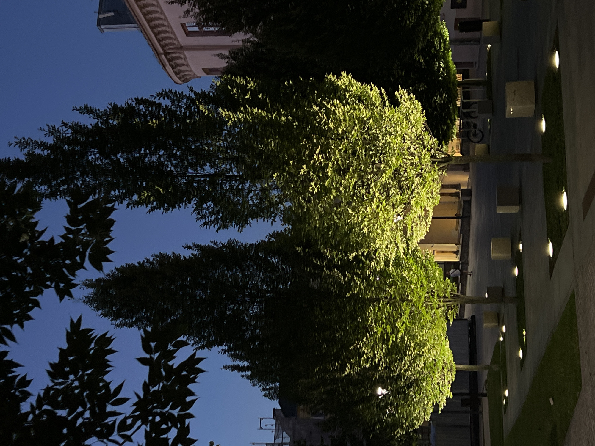 The image depicts an urban scene in the city of Lublin, Poland, at dusk or early night. Several trees are prominently featured, with their canopies illuminated by warm, yellow-toned artificial lights positioned at their bases. These trees are planted in a paved area, possibly a public square or pedestrian walkway, which is also dotted with small, ground-level lights.
In the background, architectural elements of buildings are visible, including a rounded facade with windows and a distinct cornice. The sky is a deep blue, indicating twilight. A lone, silhouetted figure of a person is seen walking in the middle distance, and a bicycle is partially visible, suggesting normal activity within the urban environment.
The overall impression is one of a well-lit, serene urban space designed for public use, with a focus on landscaping and ambient lighting. The presence of trees and greenery contrasts with the surrounding urban structures.