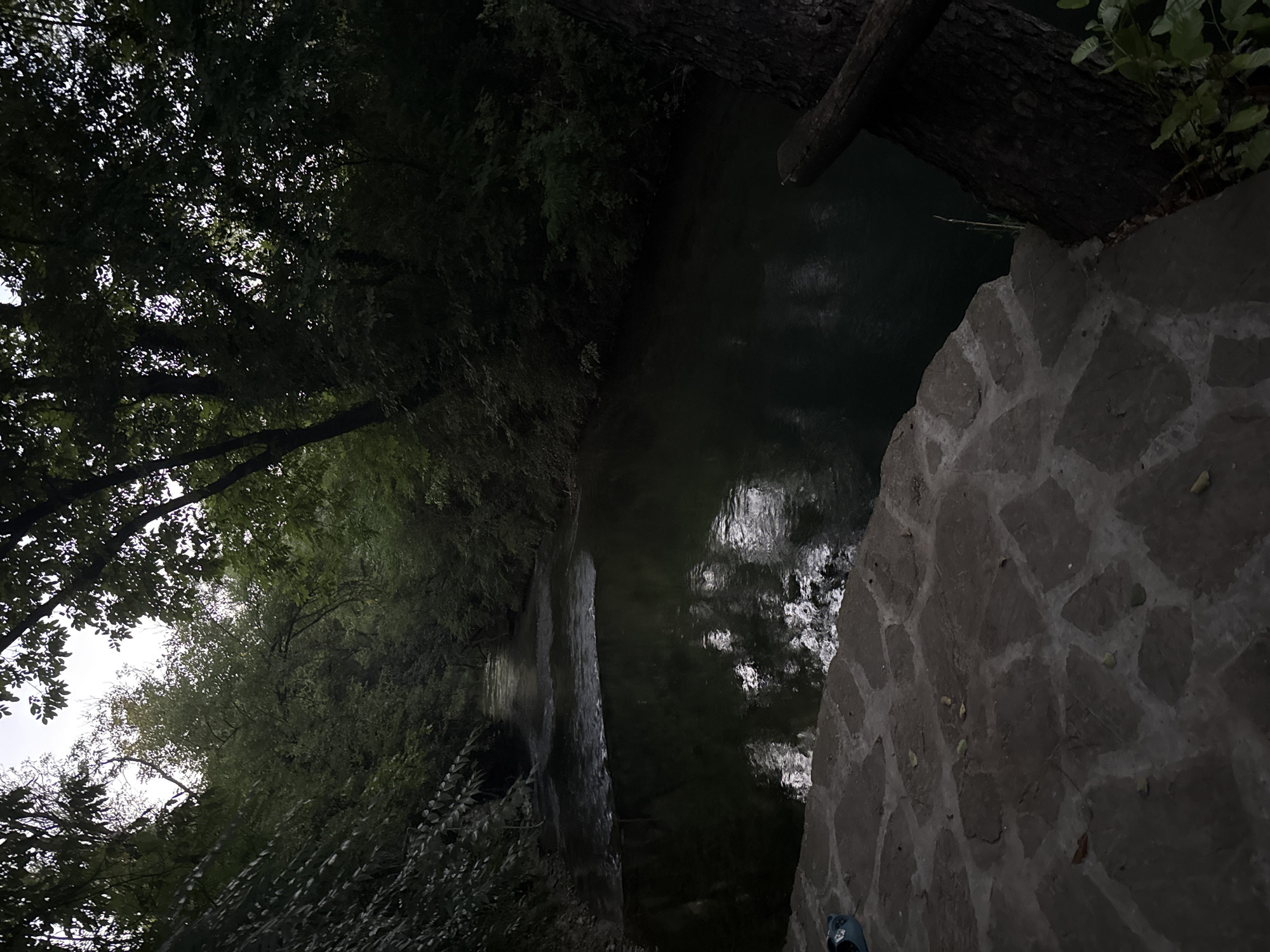 The image depicts a tranquil scene beside a flowing river, likely located within the city of Petrevene, Bulgaria. The river, with its dark, reflective water, winds through a dense forest. Lush green foliage borders both sides of the riverbank, creating a sense of seclusion and natural beauty. In the foreground, a pathway constructed of irregular stone slabs leads to the water's edge. A single blue footwear item is visible on the stones, suggesting a recent presence. The overall atmosphere is serene and natural, hinting at an outdoor recreational spot or a natural preserve within Petrevene.