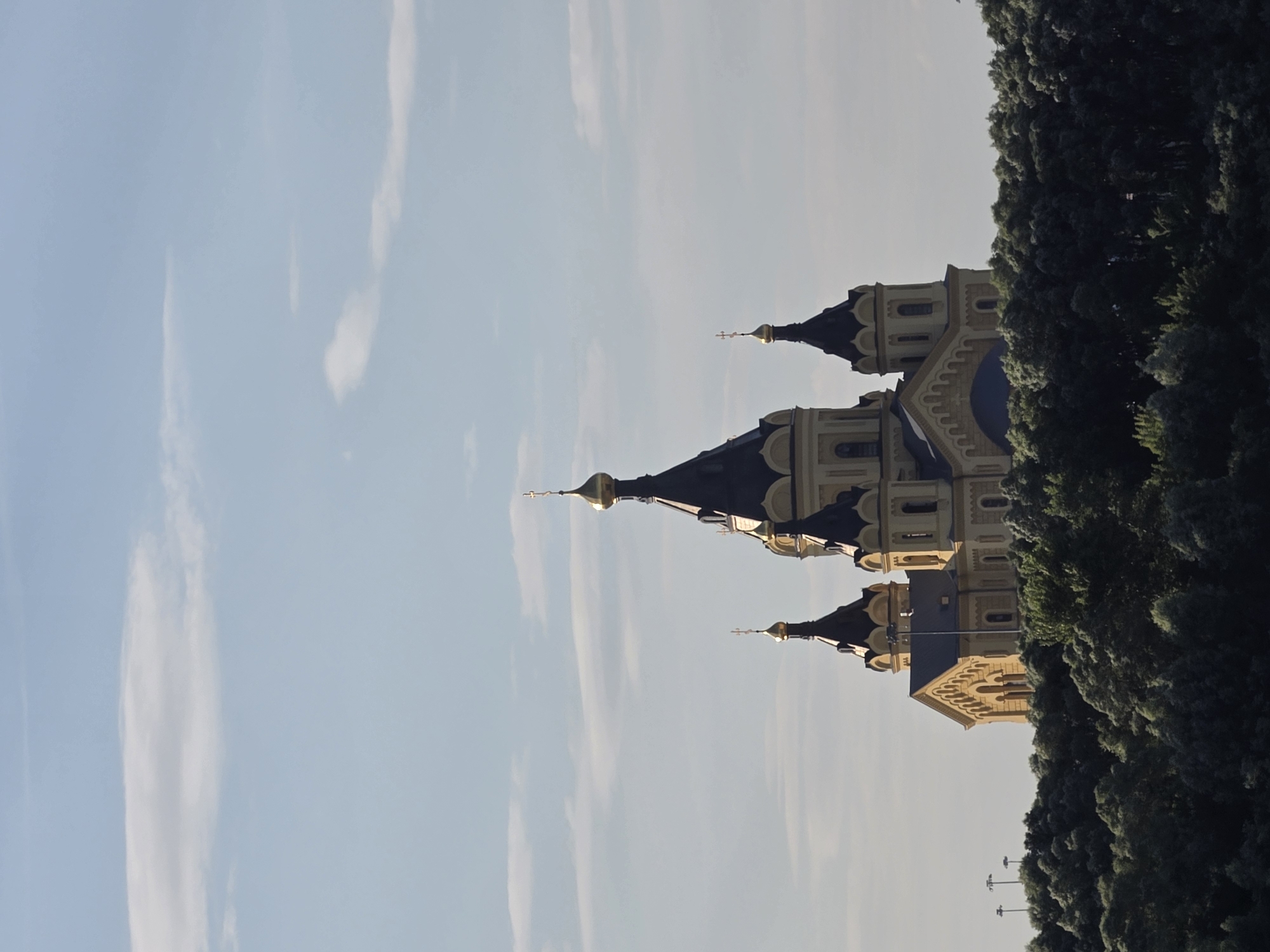 The image shows the Alexander Nevsky Cathedral, a prominent landmark in Nizhny Novgorod, Russia. The cathedral, with its distinctive yellow walls and golden domes, is silhouetted against a pale blue sky with wispy clouds. It is situated atop a dense, dark green canopy of trees, suggesting it is located on a hill or elevated area overlooking a wooded landscape. The architecture of the cathedral is characterized by multiple onion domes, arched windows, and ornate detailing. In the background, faint outlines of streetlights are visible amongst the trees on the left side of the image. The overall scene conveys a sense of grandeur and historical significance.