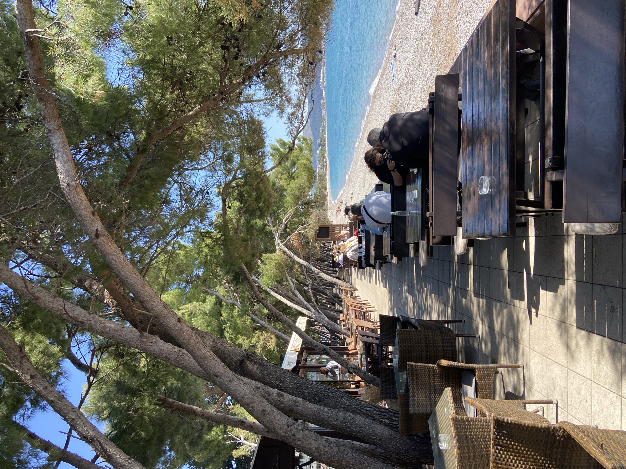 The image displays an outdoor cafe or restaurant overlooking a pebble beach and the sea in Bar, Montenegro. The photograph is oriented sideways, giving the impression of dramatically leaning pine trees and a vertical horizon line.
On the left side of the frame (which would be the top when rotated correctly), numerous mature pine trees with thick trunks and green needles line the promenade, providing natural shade. Sunlight filters through their branches, creating strong shadows on the ground.
To the right (the bottom of the rotated image), a paved promenade is furnished with rows of dark wooden tables and light brown wicker chairs. Several people are seated at these tables, relaxing and enjoying the outdoor setting. In the foreground, a person wearing a black top is seen from behind, seemingly looking at a device. Nearby, another person in a white shirt is also seated. Clear glass objects, possibly ashtrays or small dishes, are visible on some of the tables.
Beyond the seating area, a wide pebble beach stretches towards the calm, clear turquoise-blue sea. In the distance, a range of mountains can be seen across the water. The bright sunlight and distinct shadows cast by the trees and structures suggest a late morning or early afternoon time of day. The overall scene depicts a peaceful and leisurely coastal environment. No visible text is present in the image.