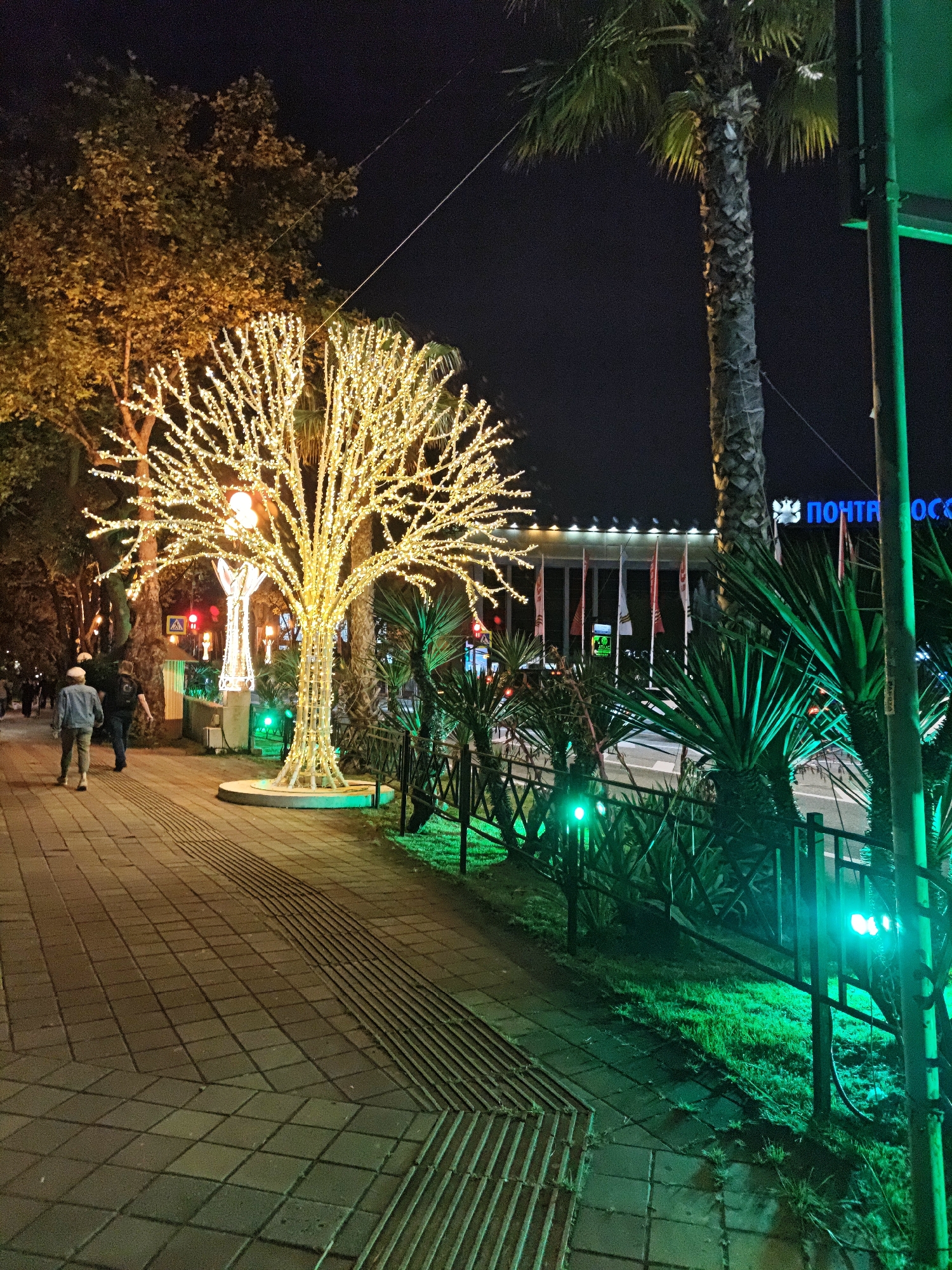 Captured at night in Sochi, Russia, the image showcases a paved walkway illuminated by a tree adorned with yellow lights. Two people are walking along the walkway, which is adjacent to a fence bordering a grassy area with palm trees and green lights. In the background, a building with flags and signage in Russian, identified as "Почта России," is visible.
