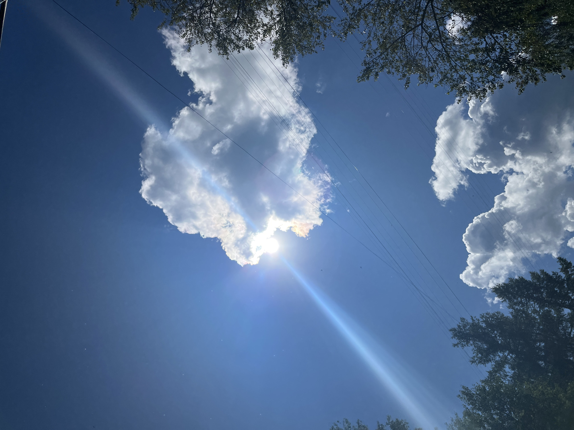 This is a low-angle shot of a bright blue sky with scattered clouds. The sun is shining intensely, creating a lens flare that streaks diagonally across the frame from the upper left to the lower right. A large, fluffy cumulus cloud partially obscures the sun, with iridescent colors appearing on its edge. Several power lines are visible crisscrossing the sky. On the left and right edges of the image, the tops of dark green trees are visible. The overall impression is of a clear, sunny day. This scene is likely in Chaikovsky, Russia, given the context. There are no people or specific actions depicted.