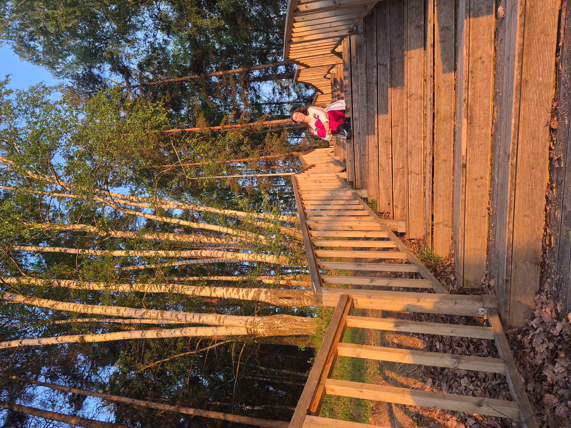 A woman in a white top and red pants is seated on a wooden boardwalk in the city of Chaikovsky, Russia. The boardwalk runs parallel to a forest of birch and pine trees, illuminated by the setting sun. The boardwalk includes stairs and a railing. The ground surrounding the boardwalk is covered in fallen leaves.