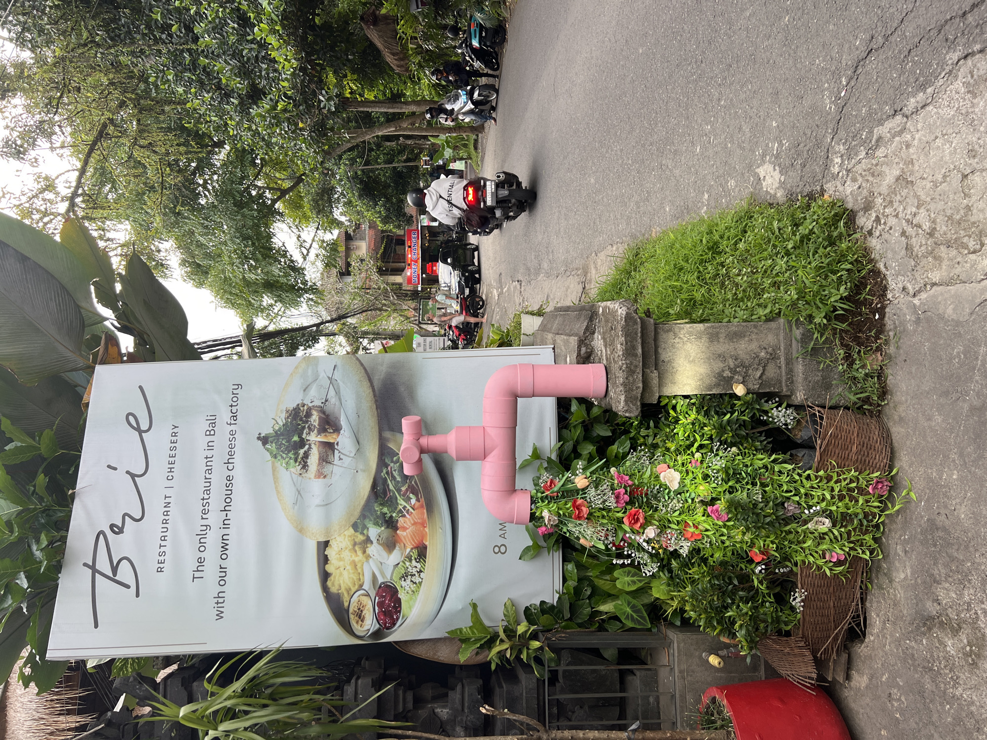 The scene depicts a street in Ubud District, Indonesia, where a restaurant called "Brie" is advertised. The sign states "The only restaurant in Bali with our own in-house cheese factory." A pink faucet made of pipes is attached to the sign, with artificial flowers "pouring" out of it. A concrete pillar is adjacent to the sign, with more greenery at its base. In the background, motorbikes are driving on the road. A "Money Changer" sign is visible further down the street. A man wearing a "ESSENTIAL" hoodie is riding a motorbike.