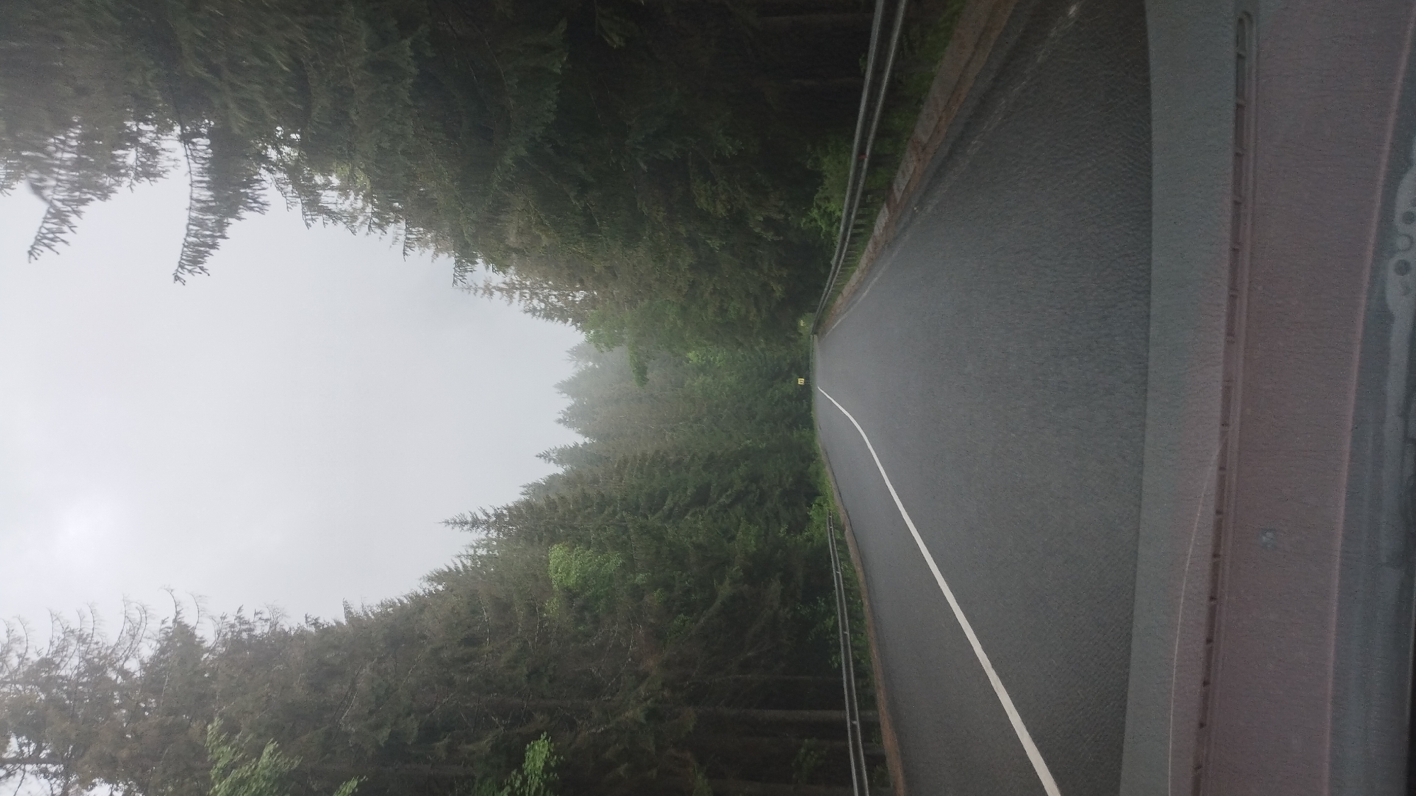 The image depicts a perspective from inside a vehicle driving on a paved road that winds through a dense forest. The road has a white line marking the left lane and is bordered by a metal guardrail on the right. The trees, primarily coniferous, line both sides of the road, creating a canopy overhead. The sky is overcast and hazy, suggesting a cloudy or foggy day. In the distance, two yellow road signs are visible on the right side of the road, one with a "20" and the other with a "70" indicating speed limits. The foreground shows the dashboard and windshield of the vehicle. The scene is consistent with a drive on a mountain road in the Carpathian Mountains, potentially near the village of Lazeshchyna, Ukraine, which is known for its forested landscapes and winding roads. There are no people or animals visible in the image.