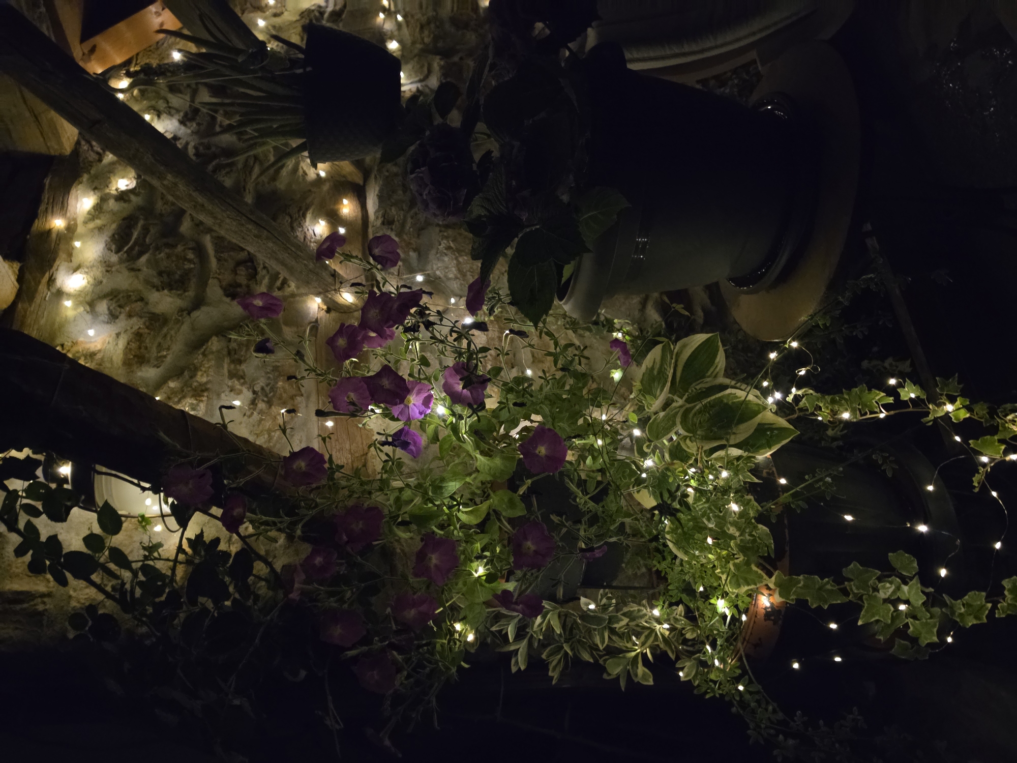 The image depicts an outdoor scene at night, illuminated by string lights draped across a stone wall and around potted plants. In the foreground, a large pot contains a cascade of purple flowers, interspersed with green and variegated leaves. Several more potted plants, including one with spiky green leaves, are visible further back. Wooden beams are integrated into the stone wall, suggesting an architectural feature such as a pergola or a rustic structure. The overall ambiance is serene and decorative, with the lights creating a warm glow against the dark stone.