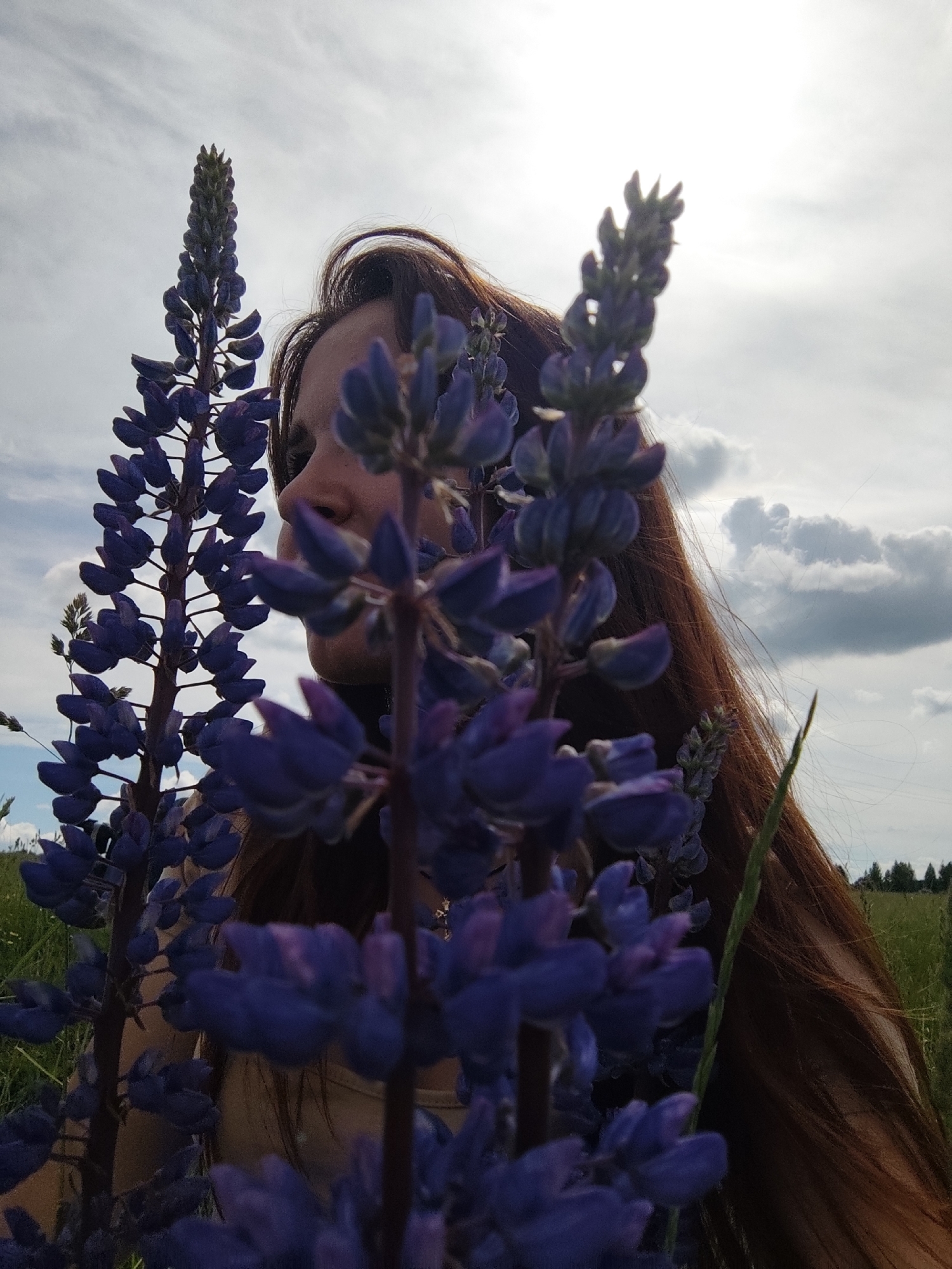 The image captures a serene outdoor scene, likely a field in Фоки, Russia, featuring a person largely framed by vibrant purple lupine flowers. A woman with long, reddish-brown hair is seen in profile from the chest up, looking towards the right side of the frame. Her face, including her eye and nose, is partially visible, peeking through the dense stalks of lupines in the foreground.
Numerous tall, blooming purple lupine flowers dominate the immediate foreground and mid-ground, creating a natural screen that partially obscures the woman. Her hair cascades down her back, blending with the natural textures of the field. In the background, hints of green foliage from other plants are visible, and a faint line of distant trees can be seen on the horizon.
The upper portion of the image is filled with a bright, cloudy sky, with patches of strong sunlight breaking through, indicating a daytime setting, possibly late morning or afternoon. The light casts a gentle glow on the scene. No discernible activity is taking place beyond the person's contemplative presence among the flowers. There is no visible text in the image. The overall mood is tranquil and connected to nature.