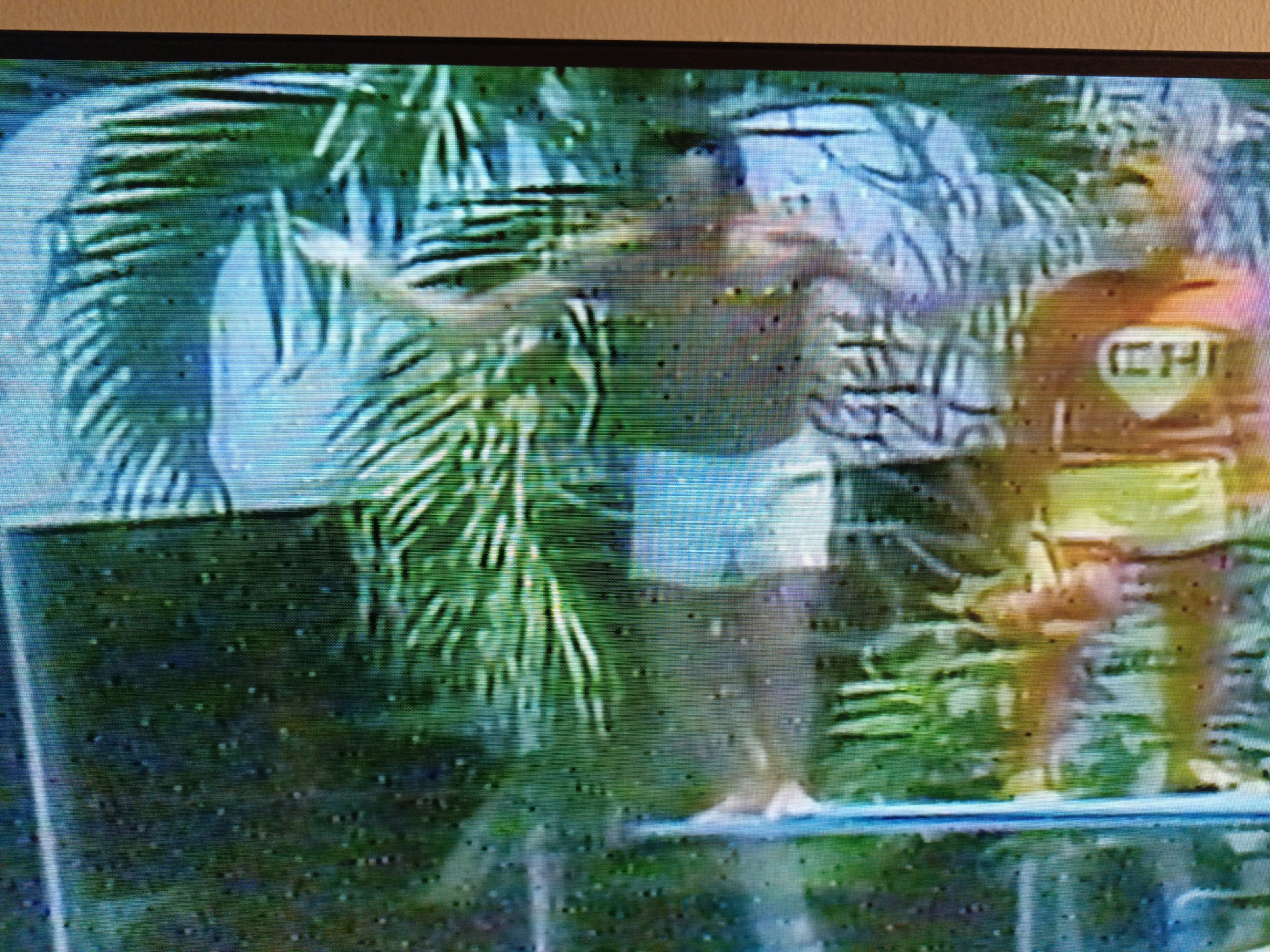 The image shows a person in a pool in front of lush green foliage, likely palm trees, in what is possibly a residential area. The person is wearing light-colored shorts. Another figure, wearing a red and yellow shirt, stands to the right. The scene appears to be captured from a television screen with poor resolution and some static or noise. The location is presumed to be Juan Griego, Venezuela.
